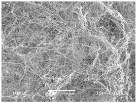 Polymers 14 02258 i013