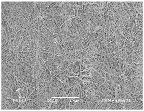 Polymers 14 02258 i015