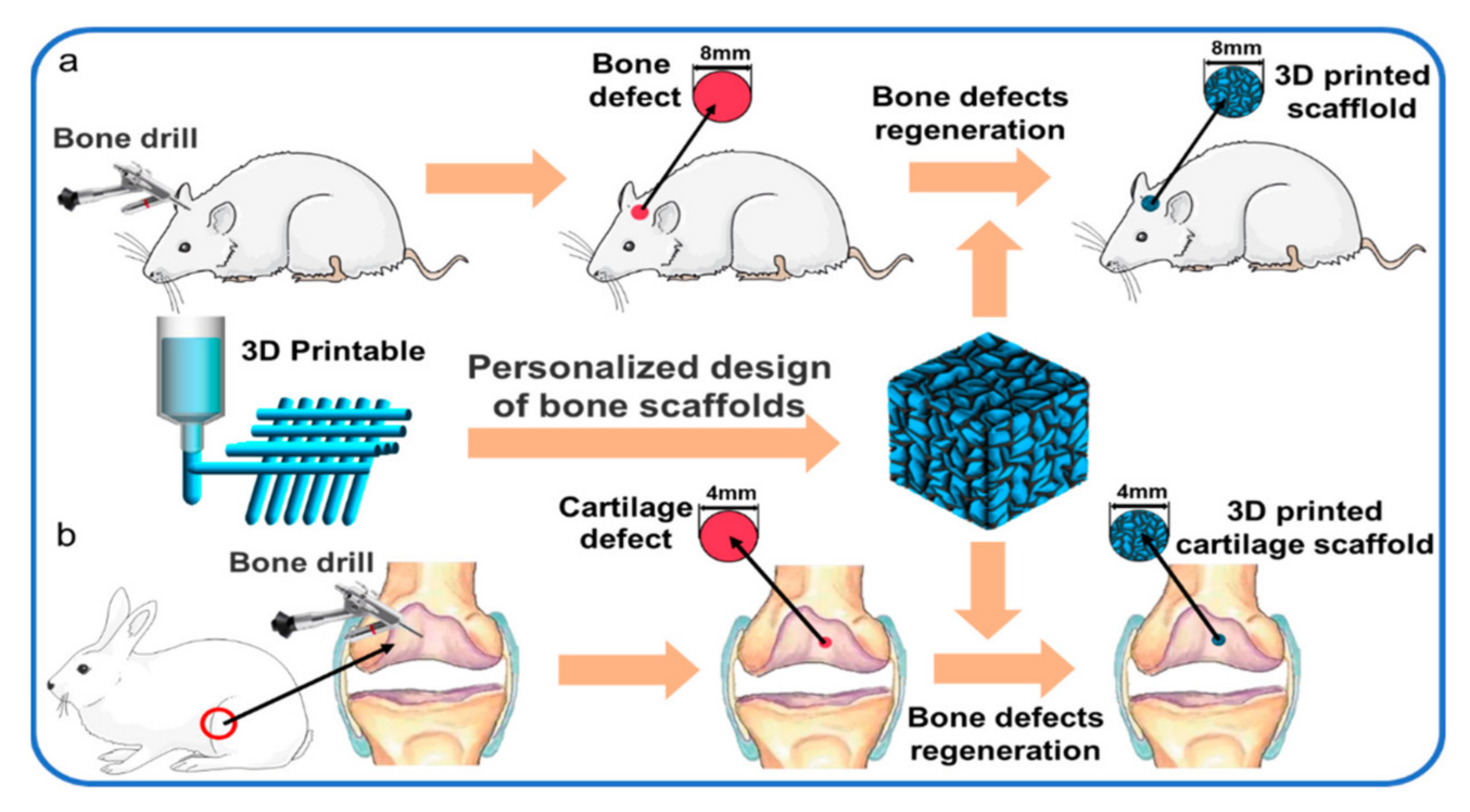 Polymers 14 02260 g004