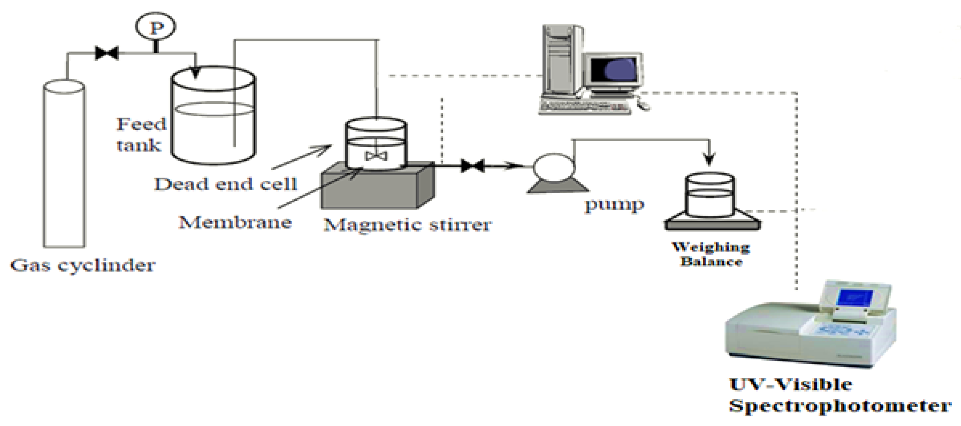 Polymers 14 02264 g002