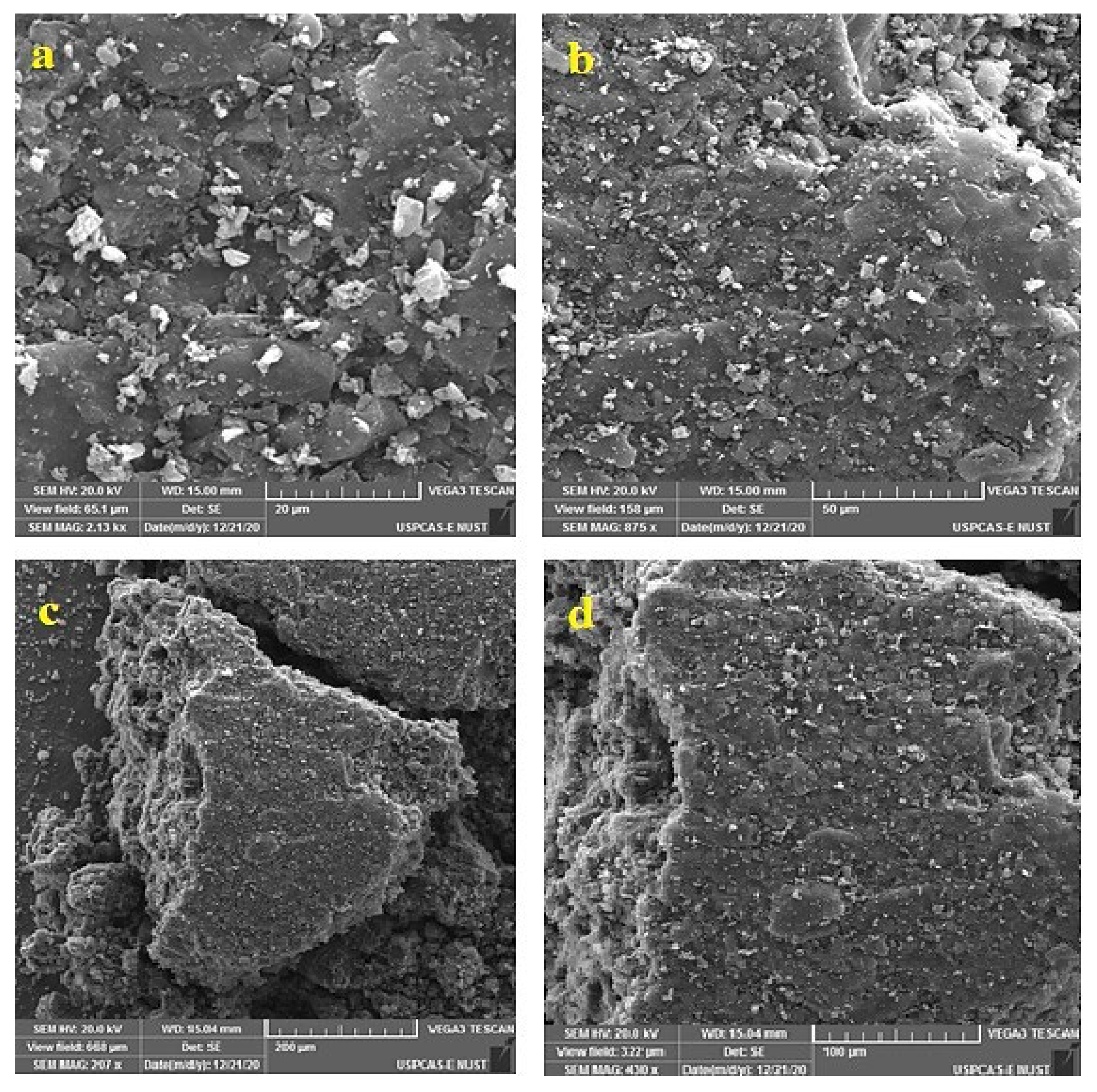Polymers 14 02264 g005