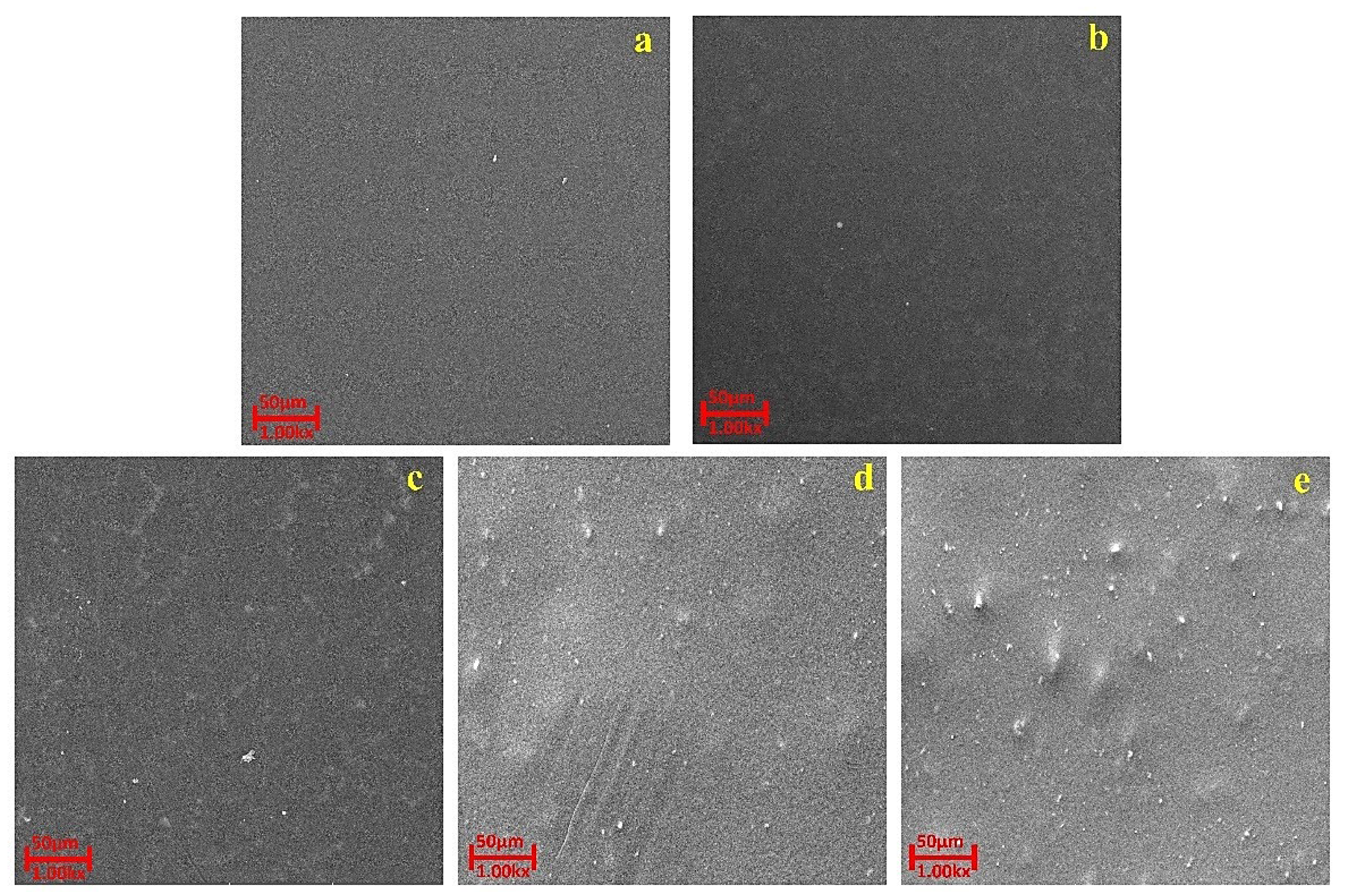 Polymers 14 02264 g009