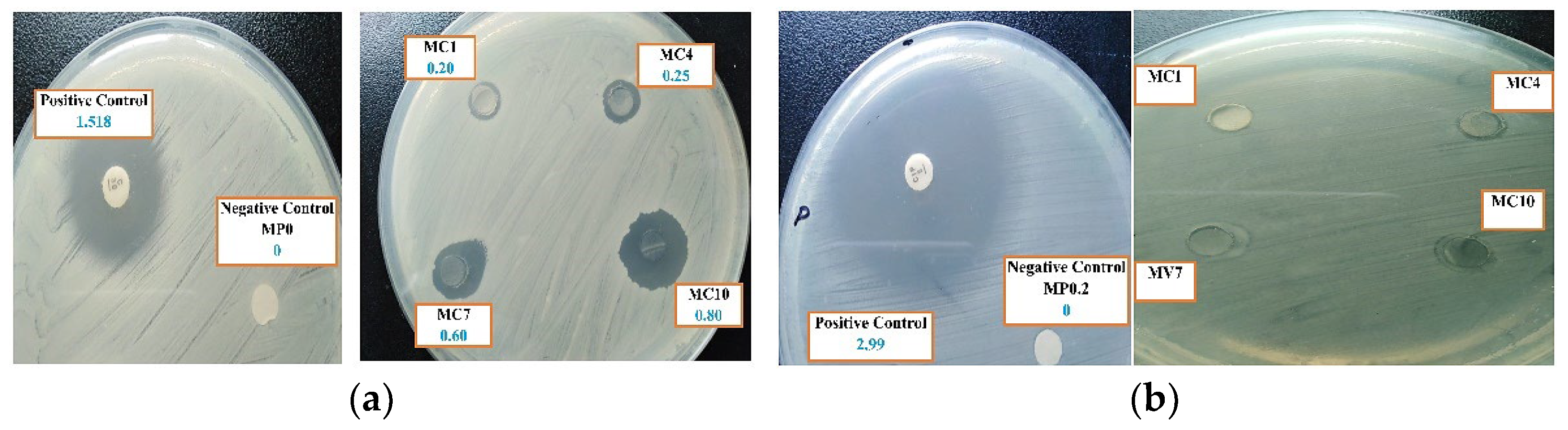 Polymers 14 02264 g014