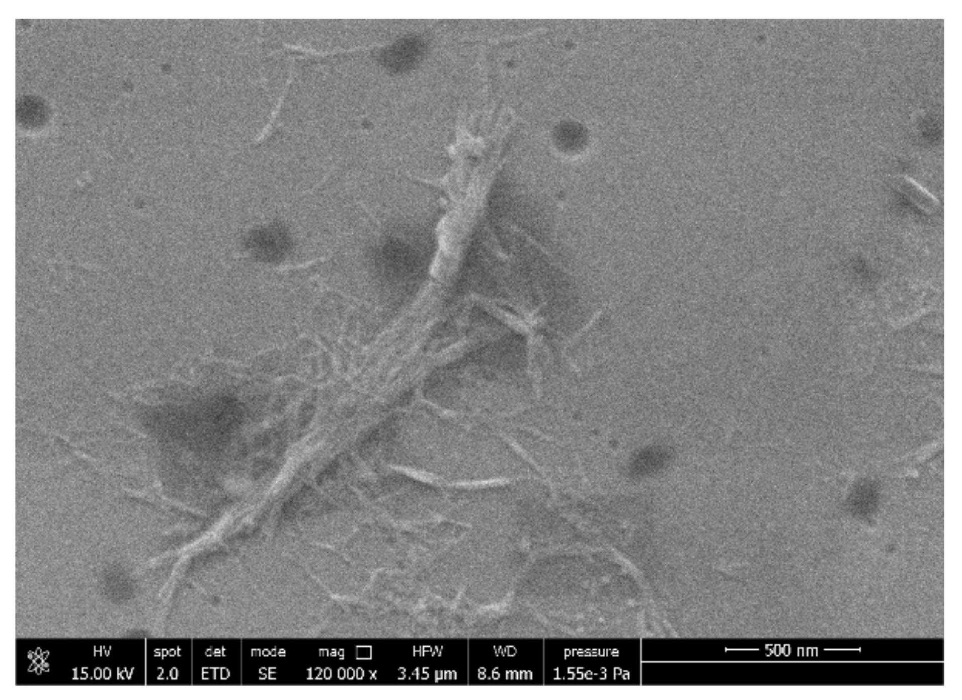 Polymers 14 02274 g005