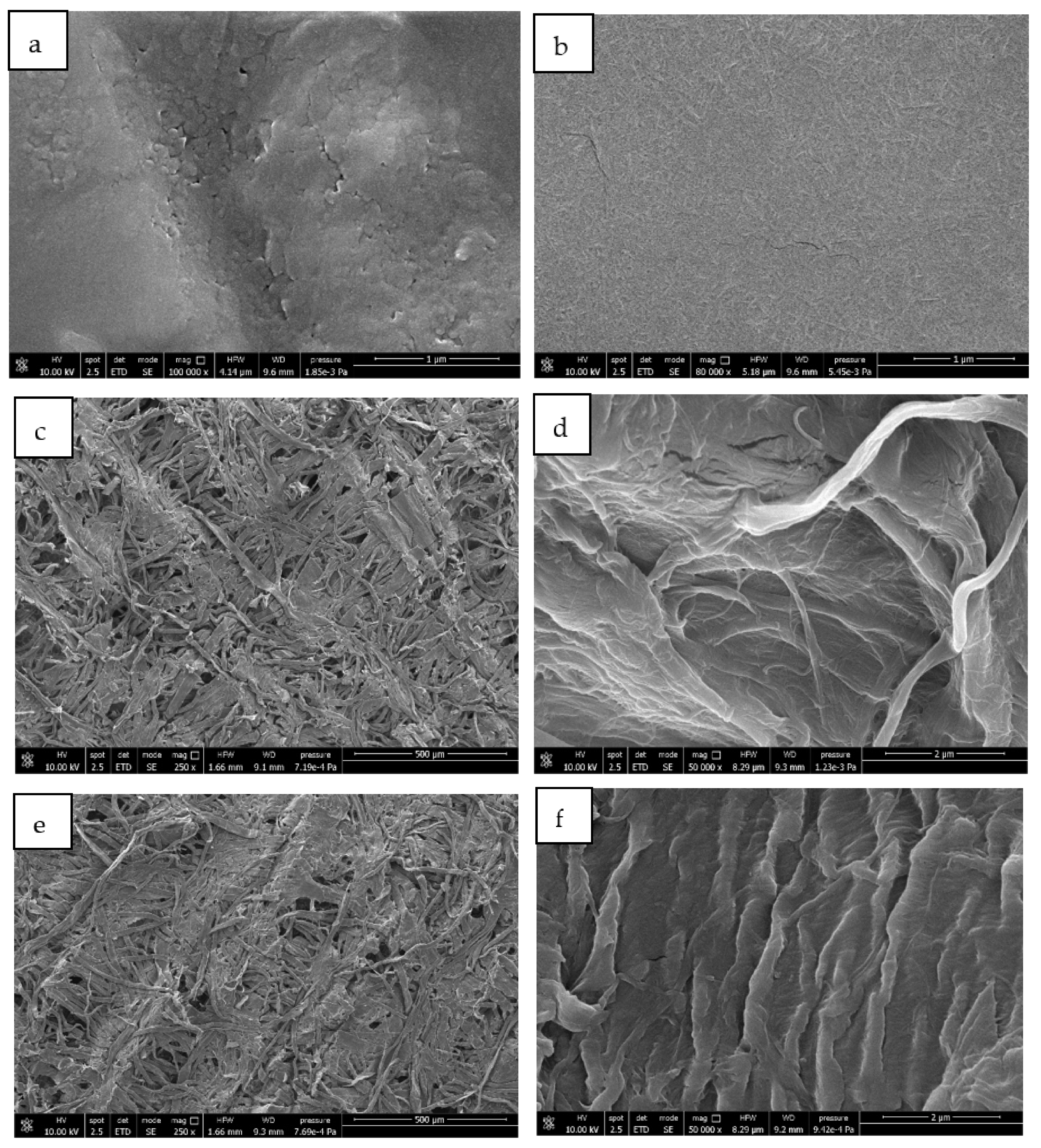 Polymers 14 02274 g012a