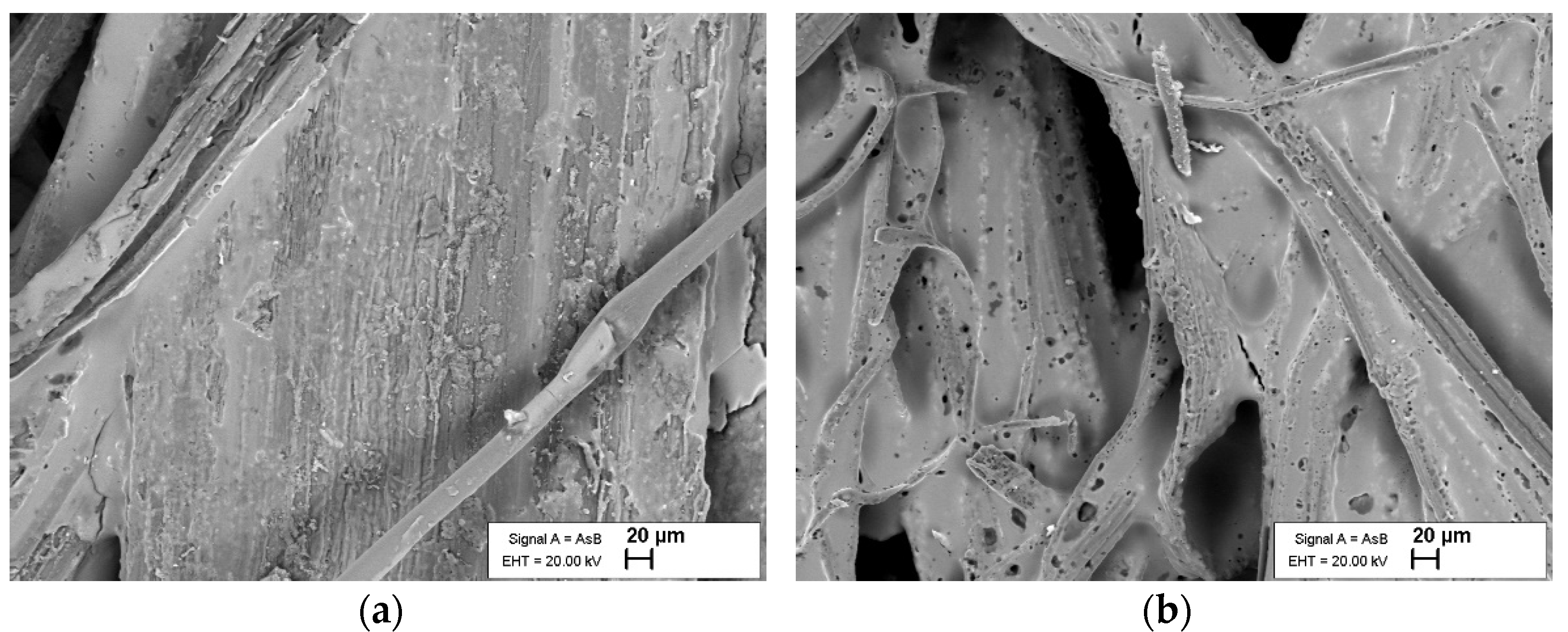 Polymers 14 02280 g002