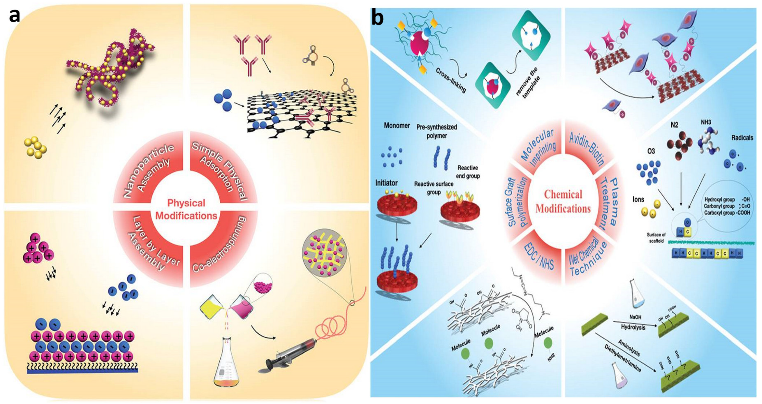Polymers 14 02307 g001