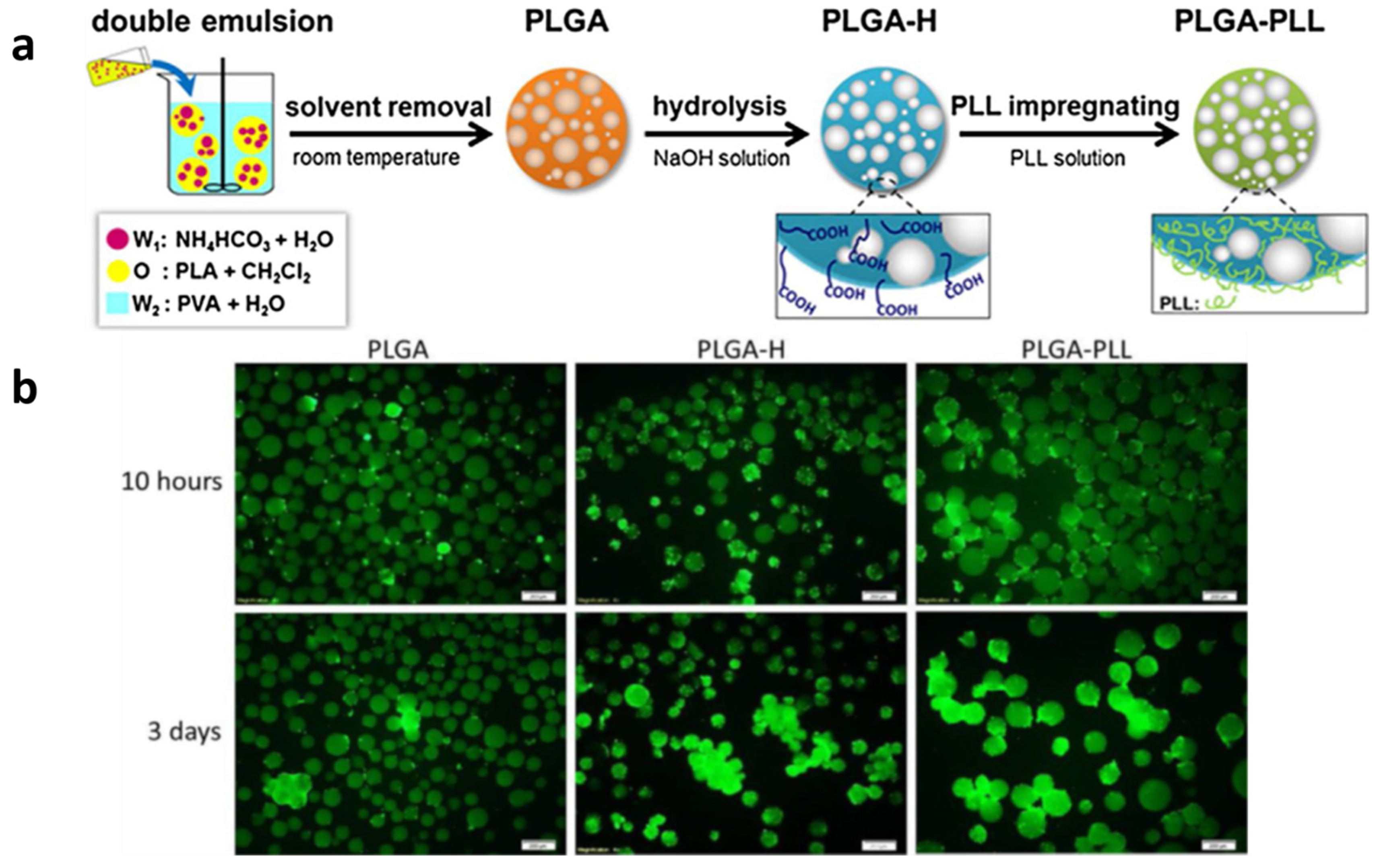 Polymers 14 02307 g002