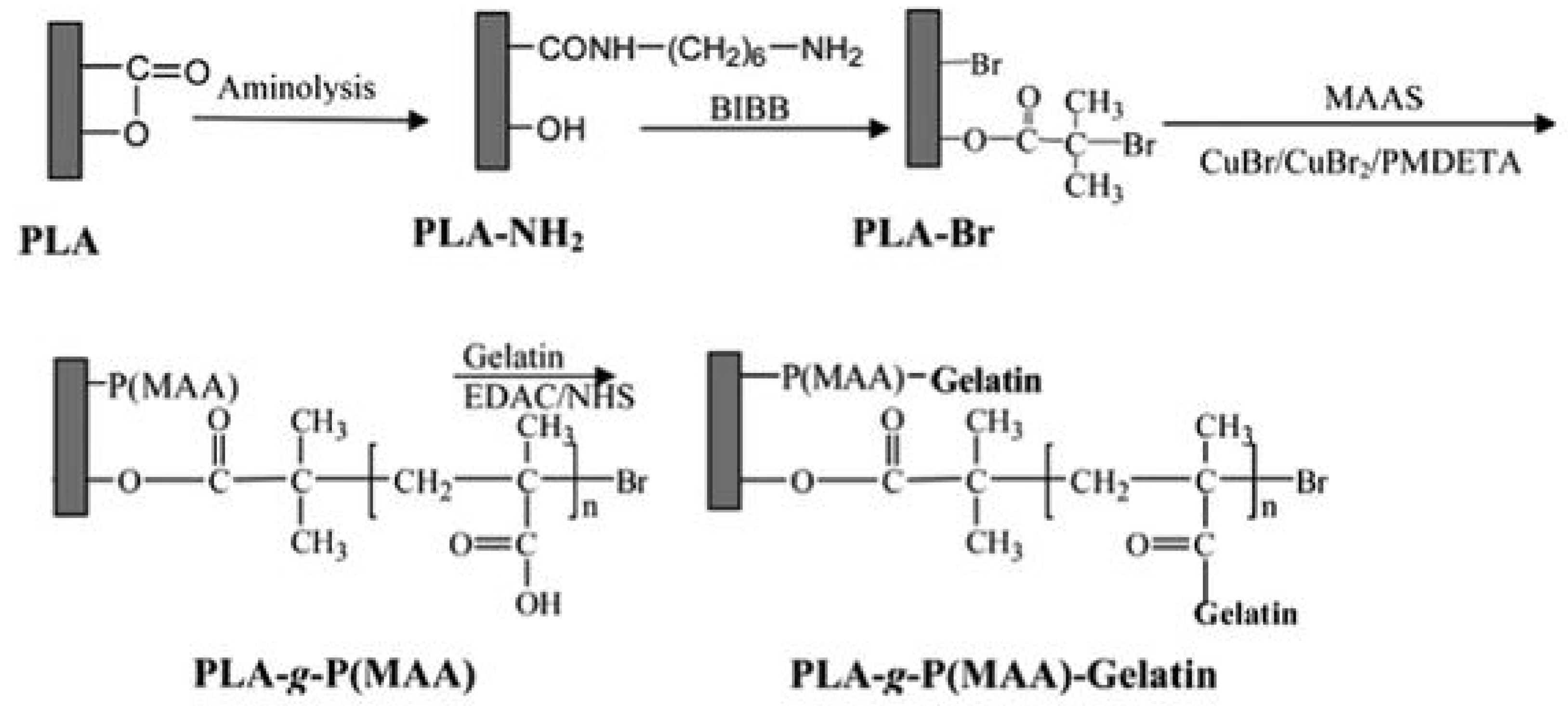 Polymers 14 02307 g003