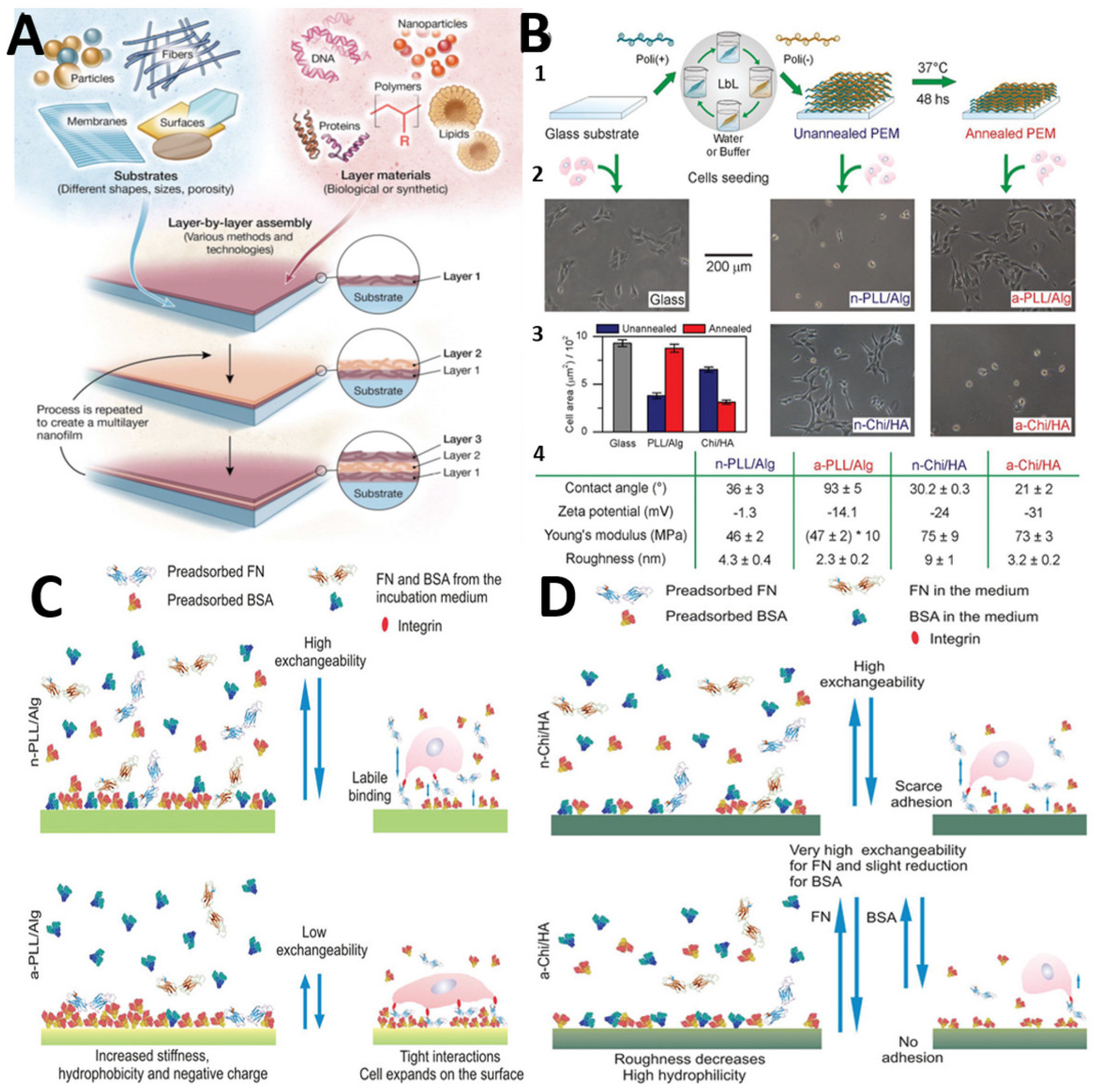 Polymers 14 02307 g004