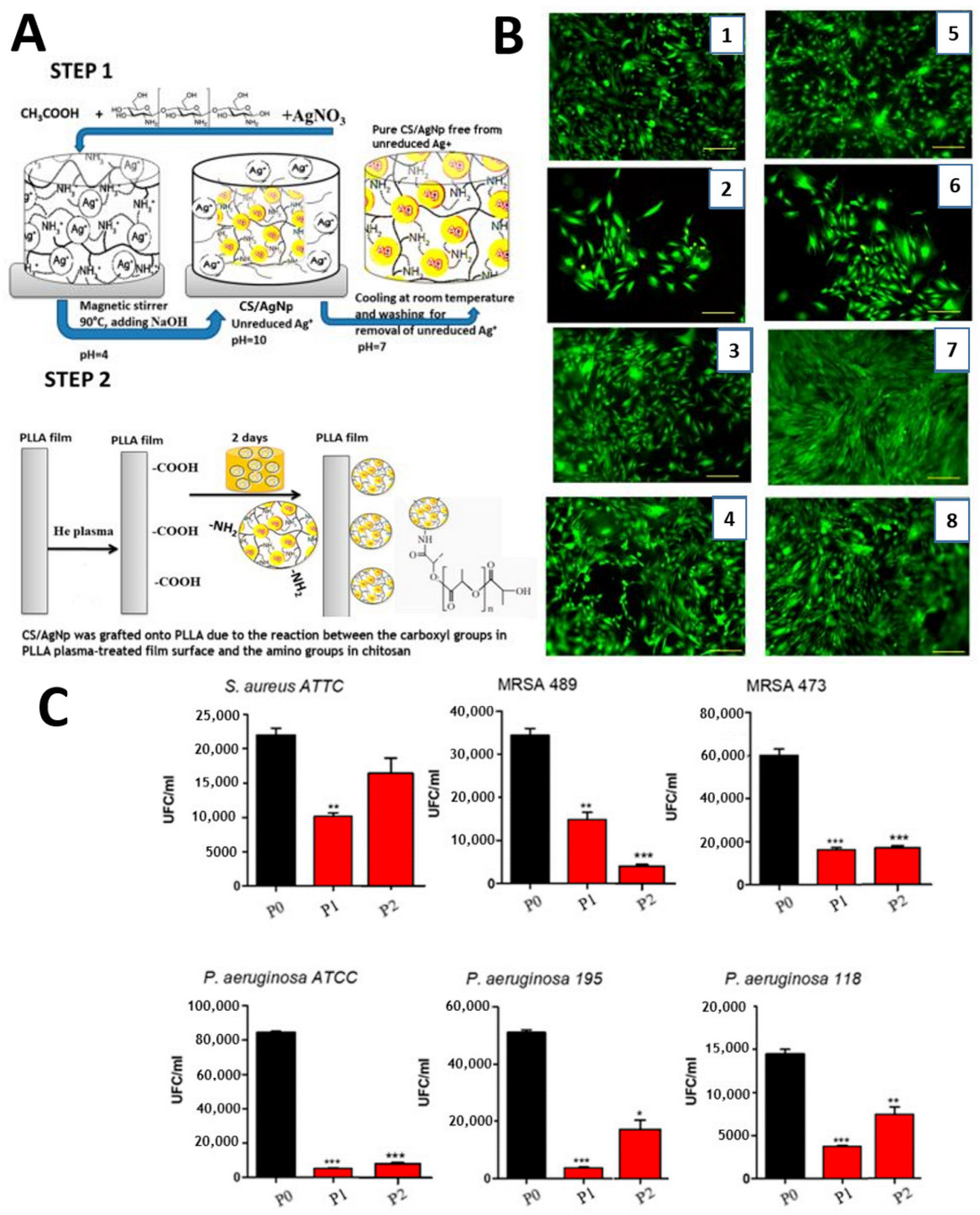 Polymers 14 02307 g007