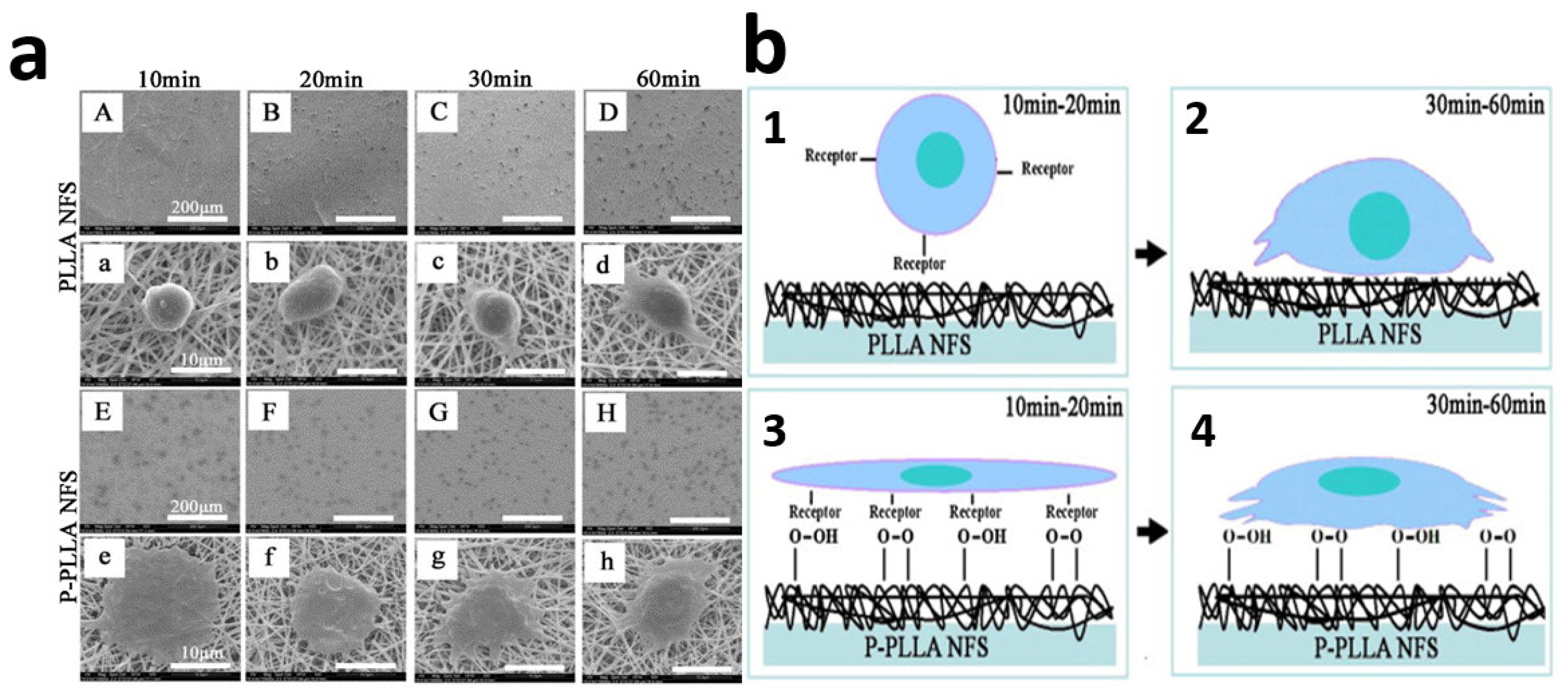 Polymers 14 02307 g010
