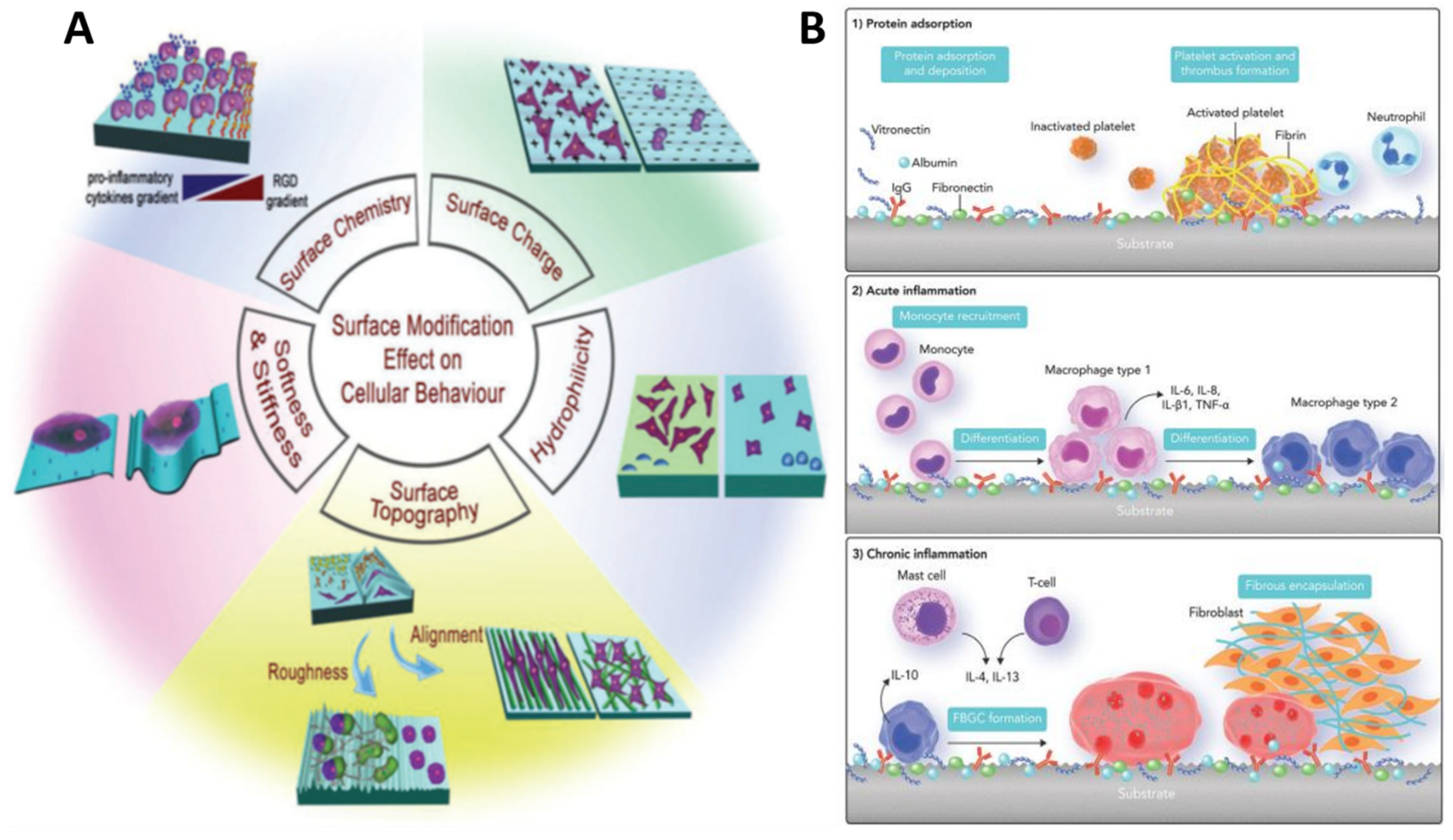 Polymers 14 02307 g011
