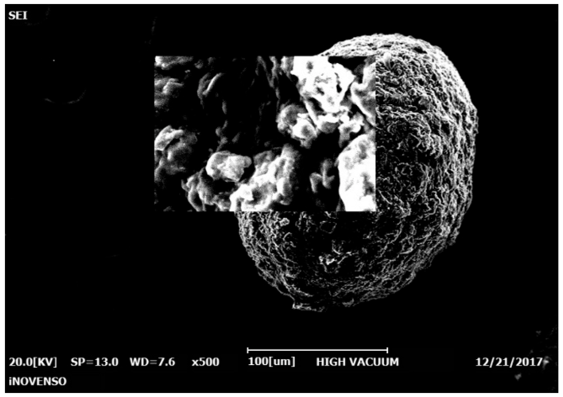 Polymers 14 02310 g004 Polymers 14 02310 g004
