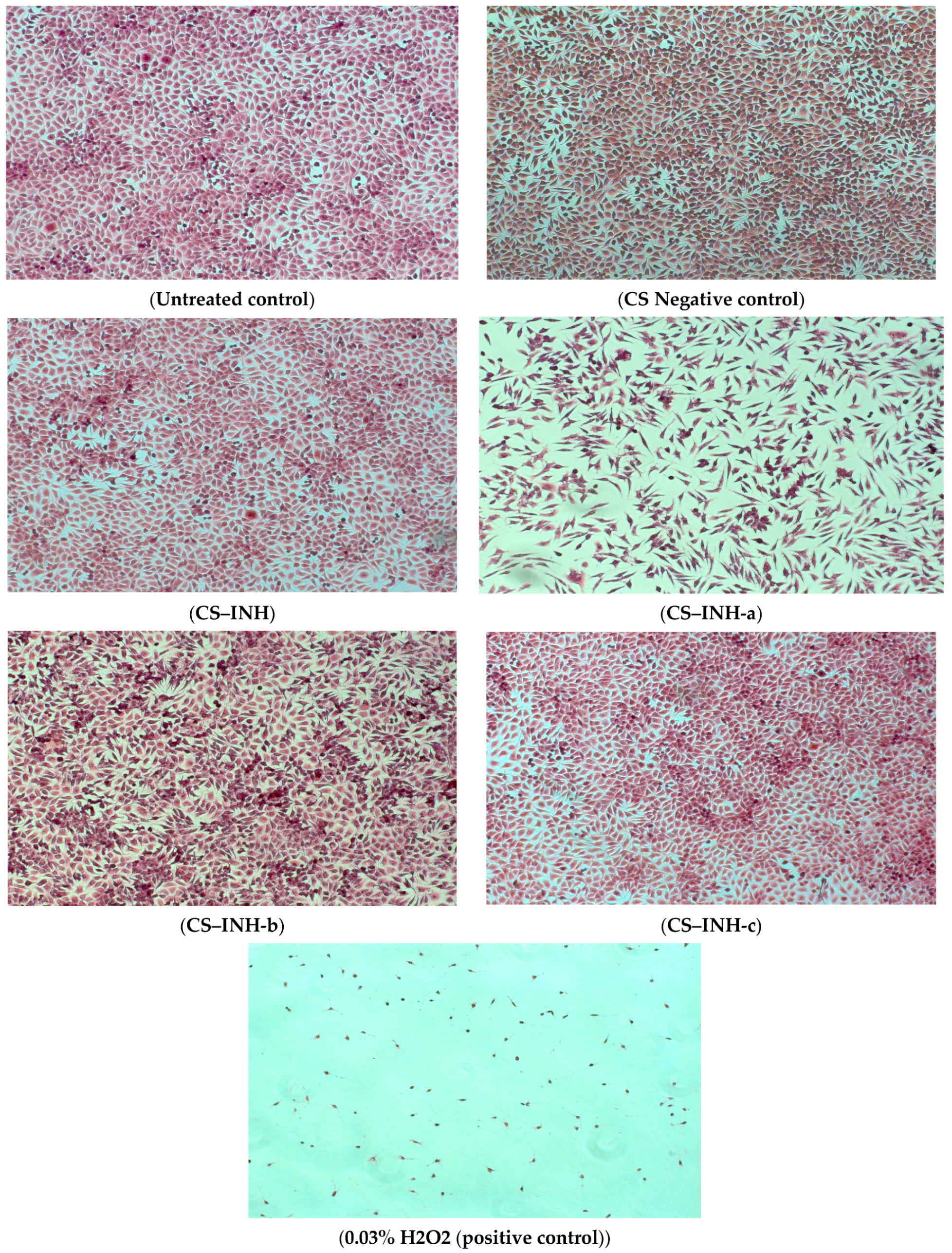 Polymers 14 02310 g007 Polymers 14 02310 g007