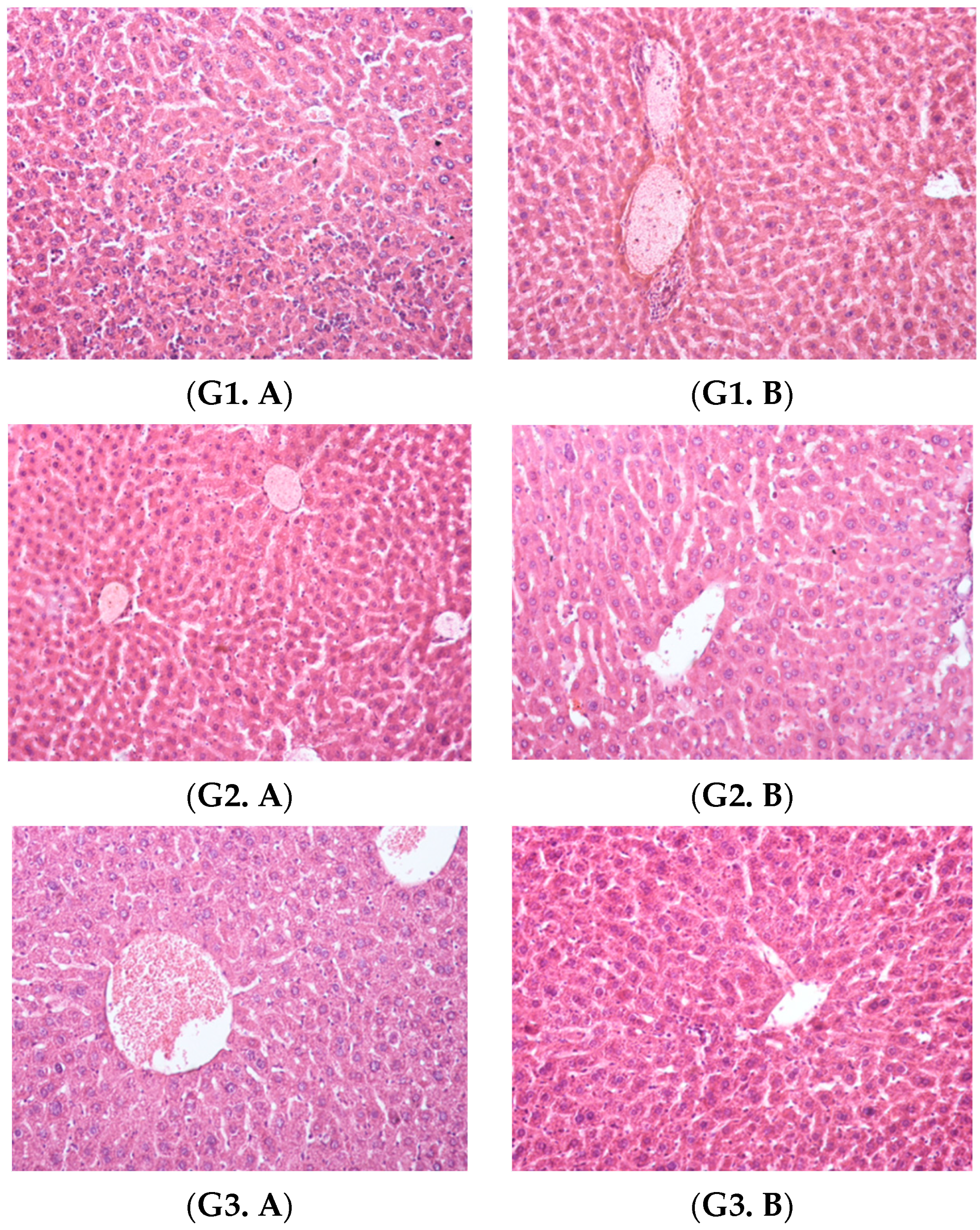 Polymers 14 02310 g008a Polymers 14 02310 g008a