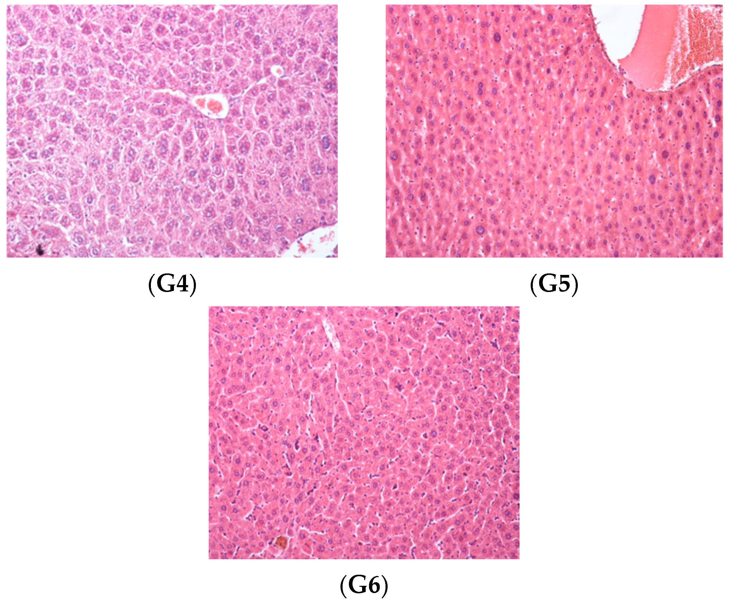 Polymers 14 02310 g008b Polymers 14 02310 g008b