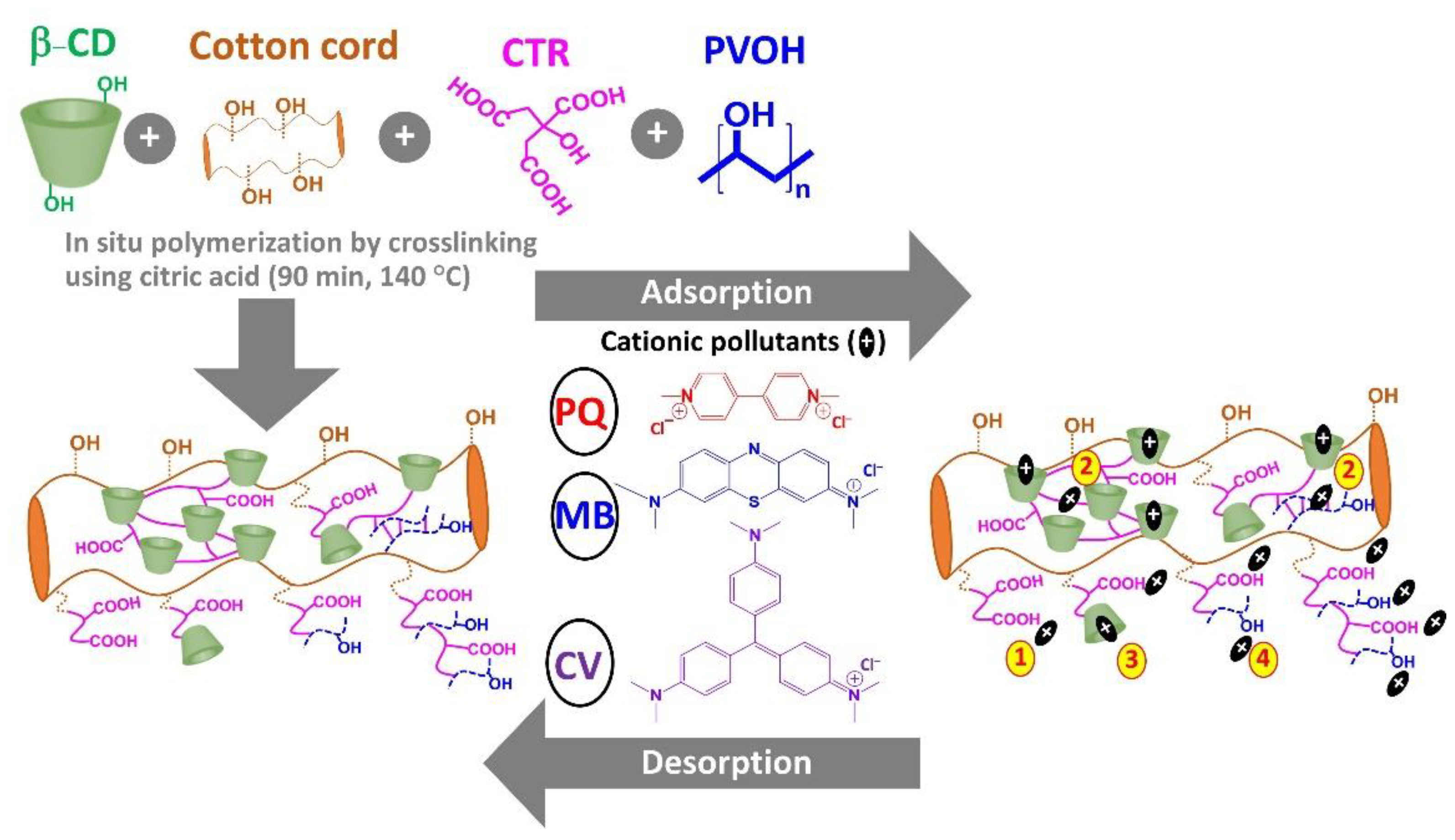 Polymers 14 02312 g001