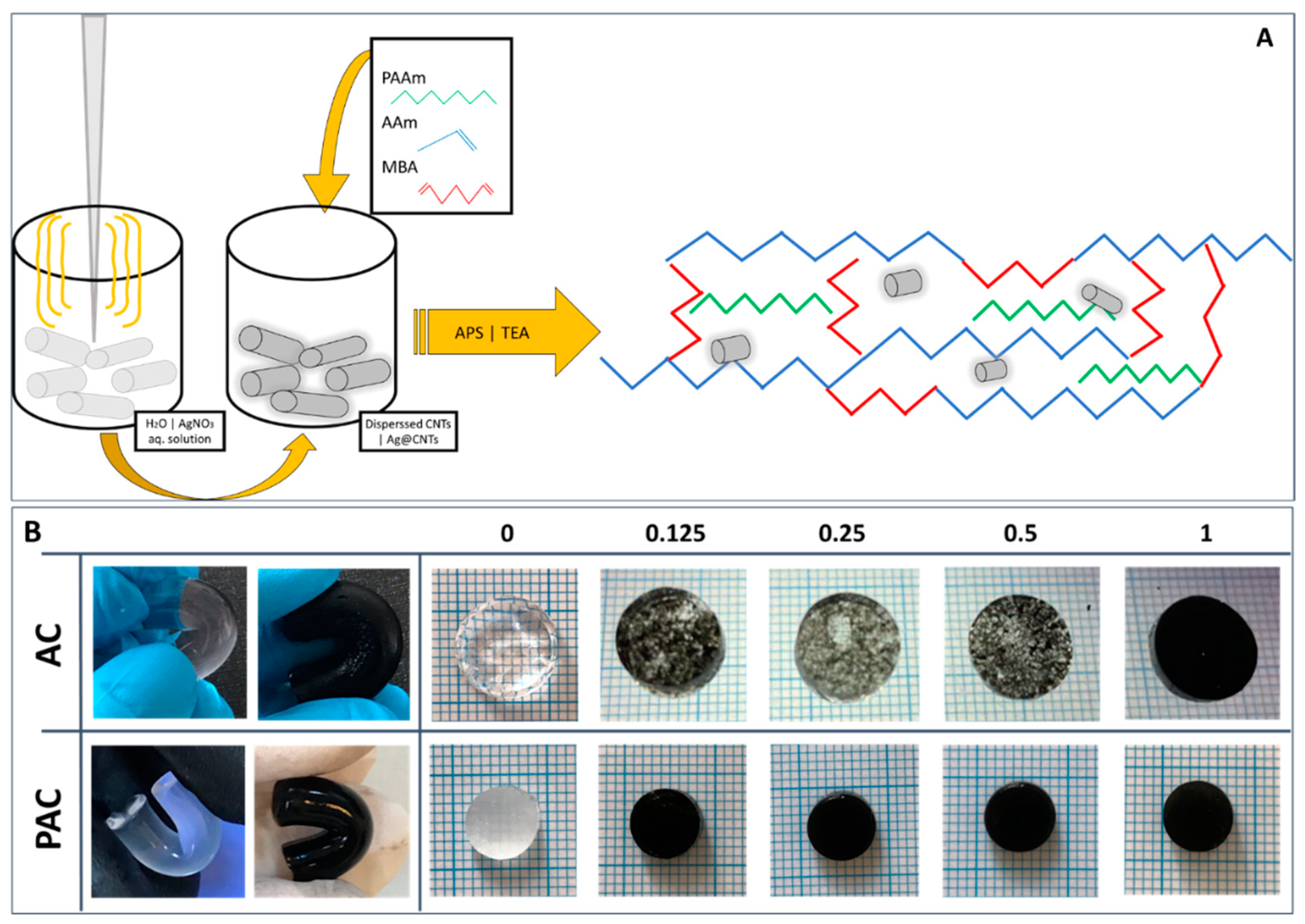 Polymers 14 02320 g001