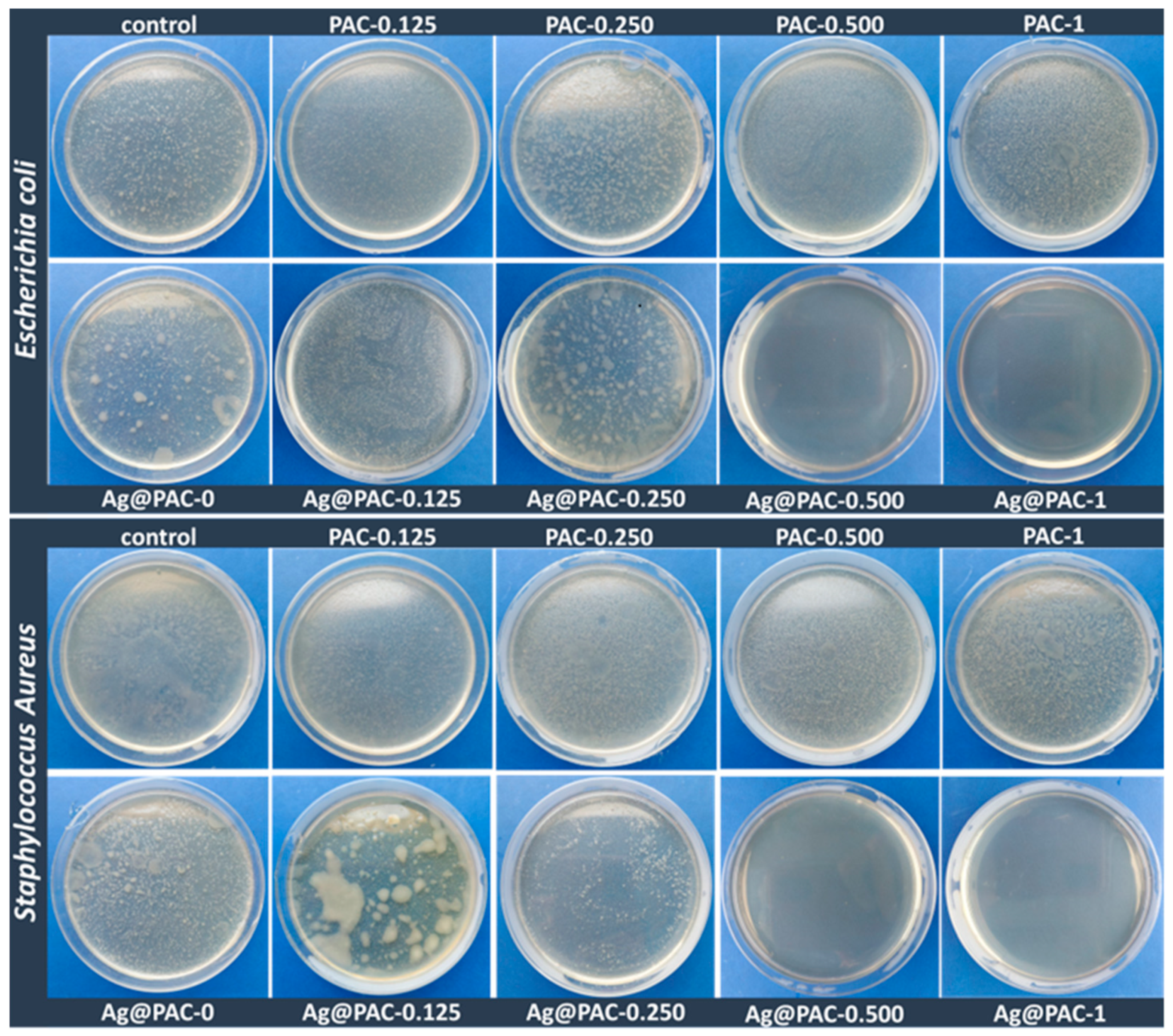 Polymers 14 02320 g007