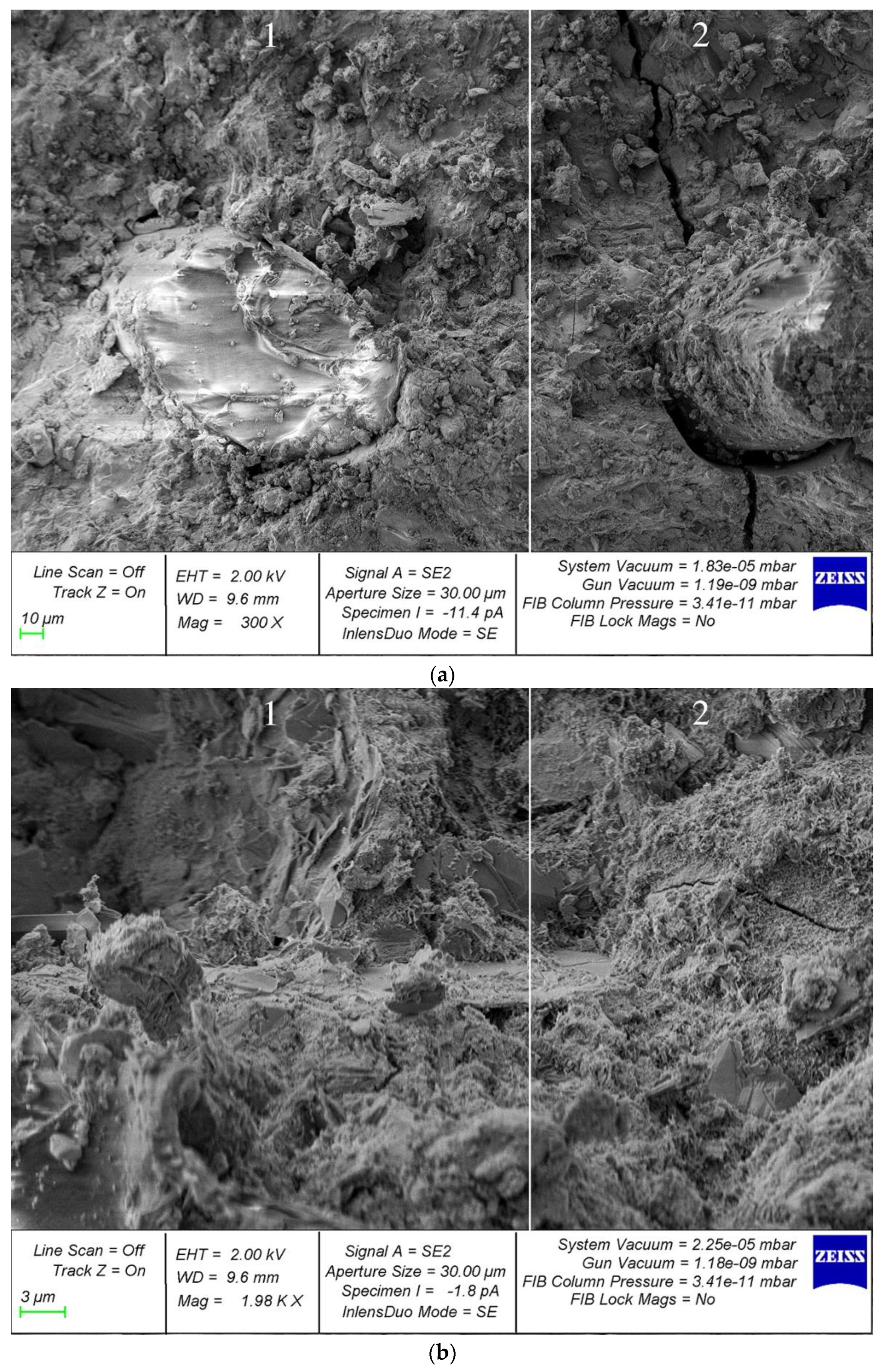 Polymers 14 02324 g008
