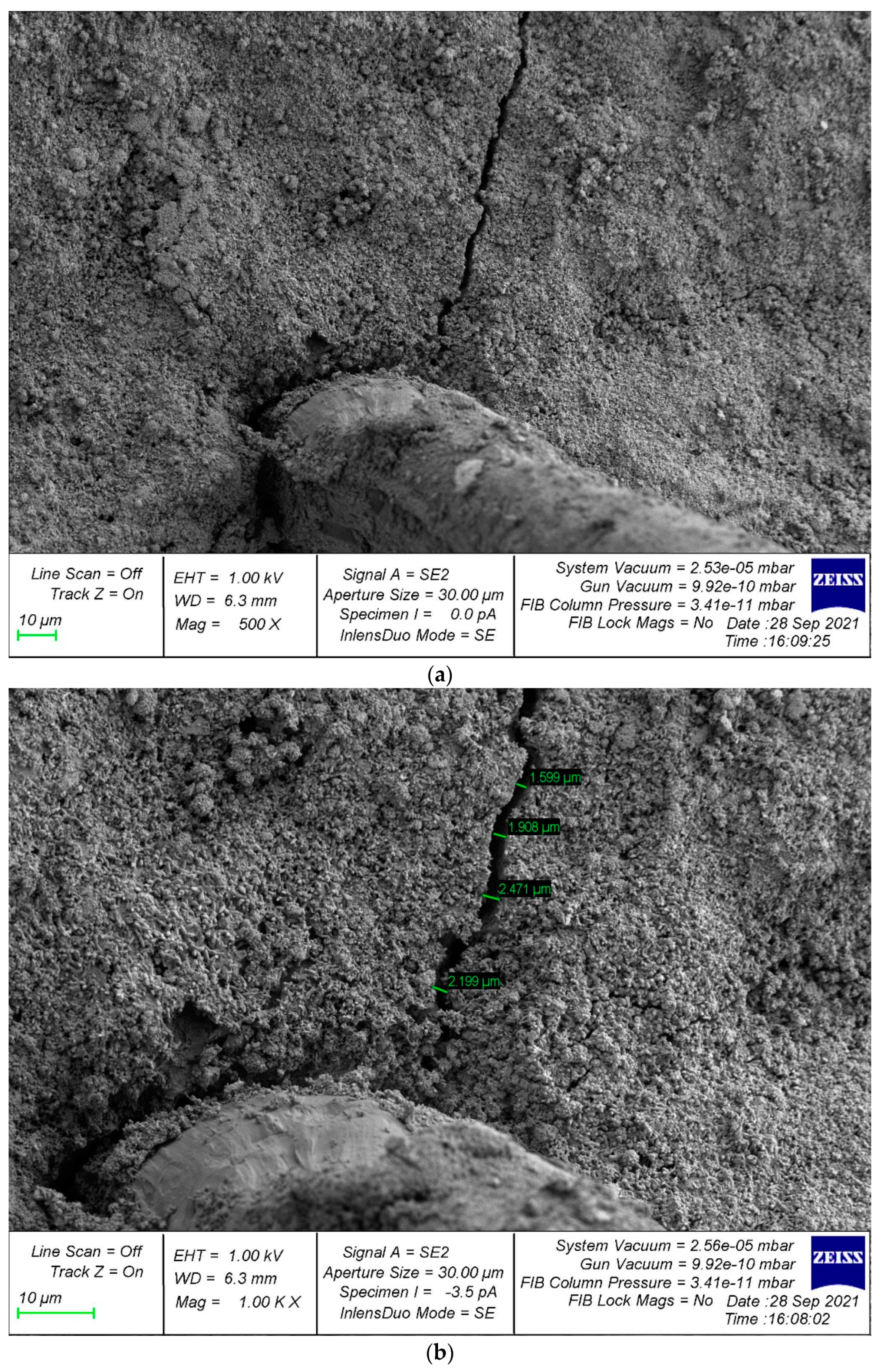 Polymers 14 02324 g010