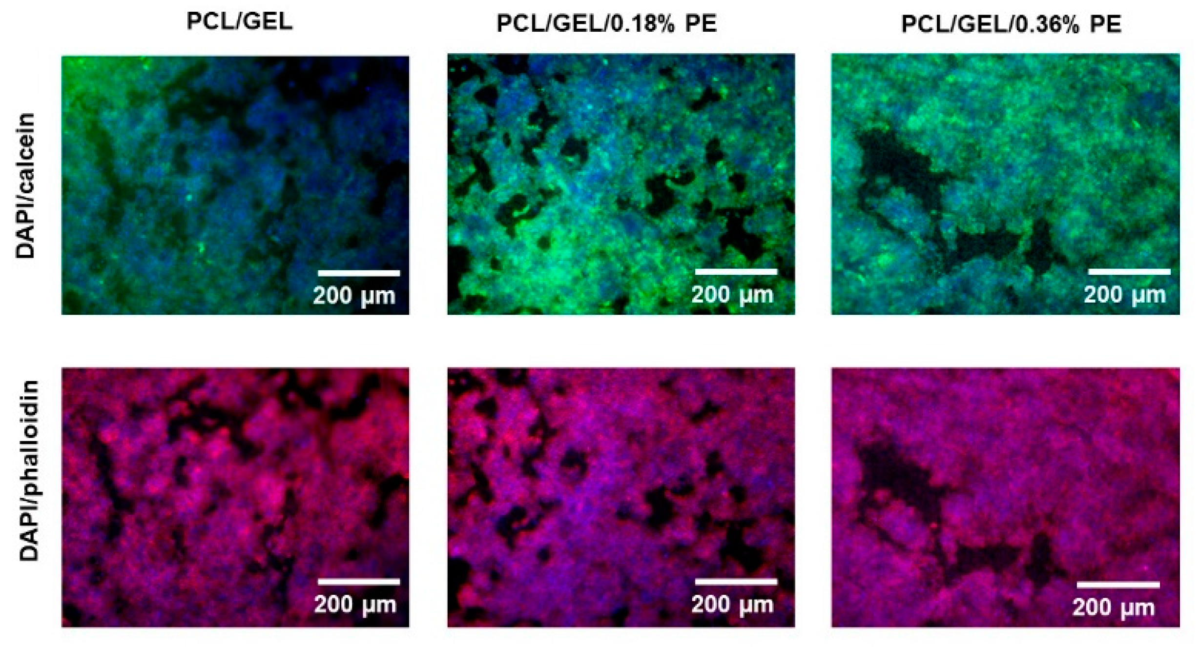 Polymers 14 02331 g007