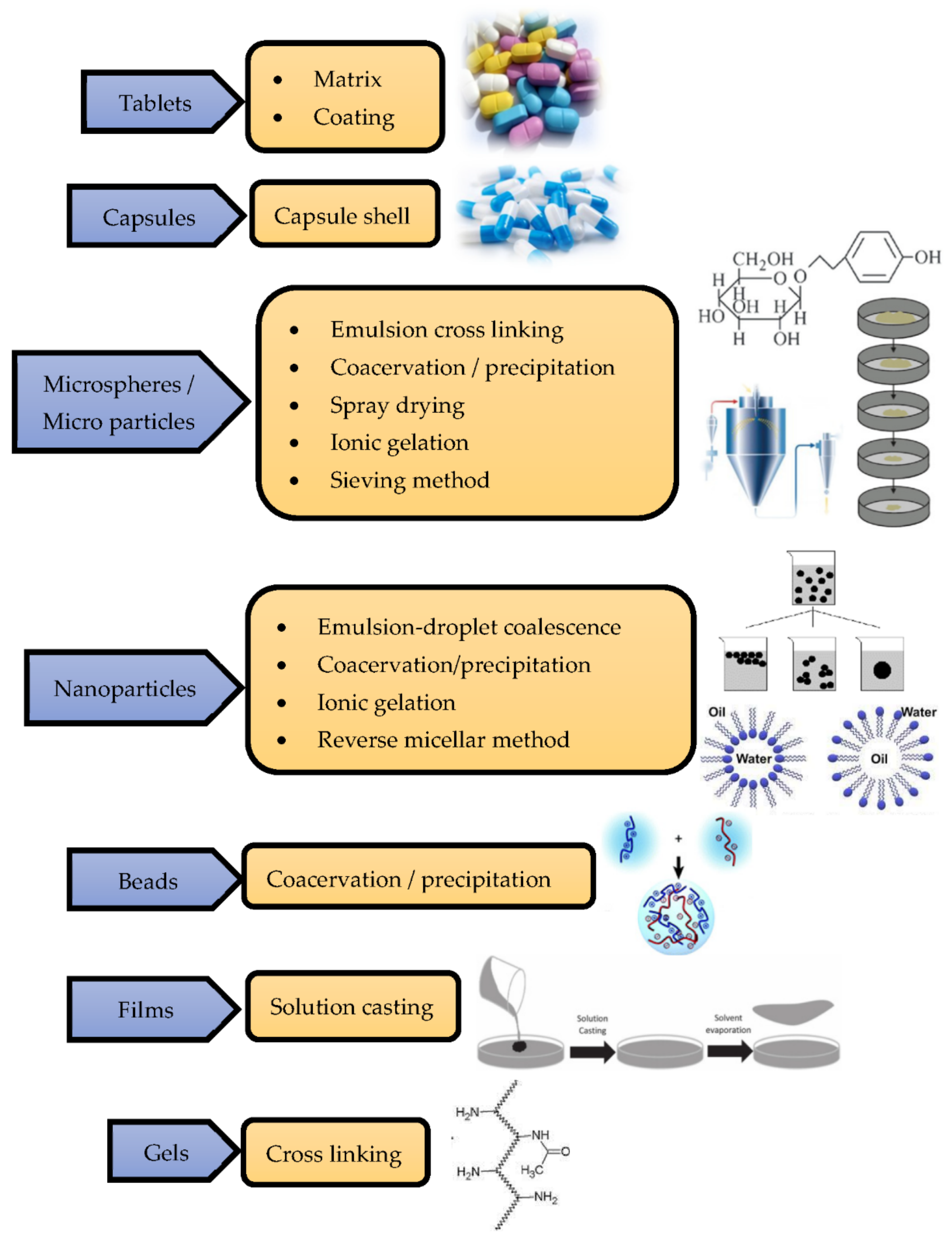 Polymers 14 02335 g004