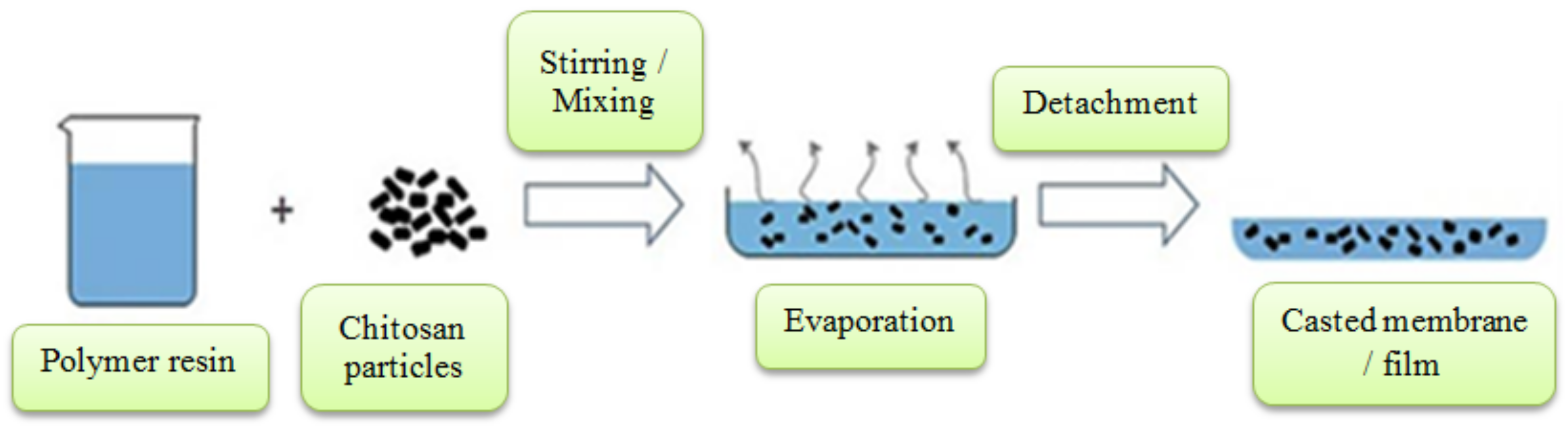 Polymers 14 02335 g005