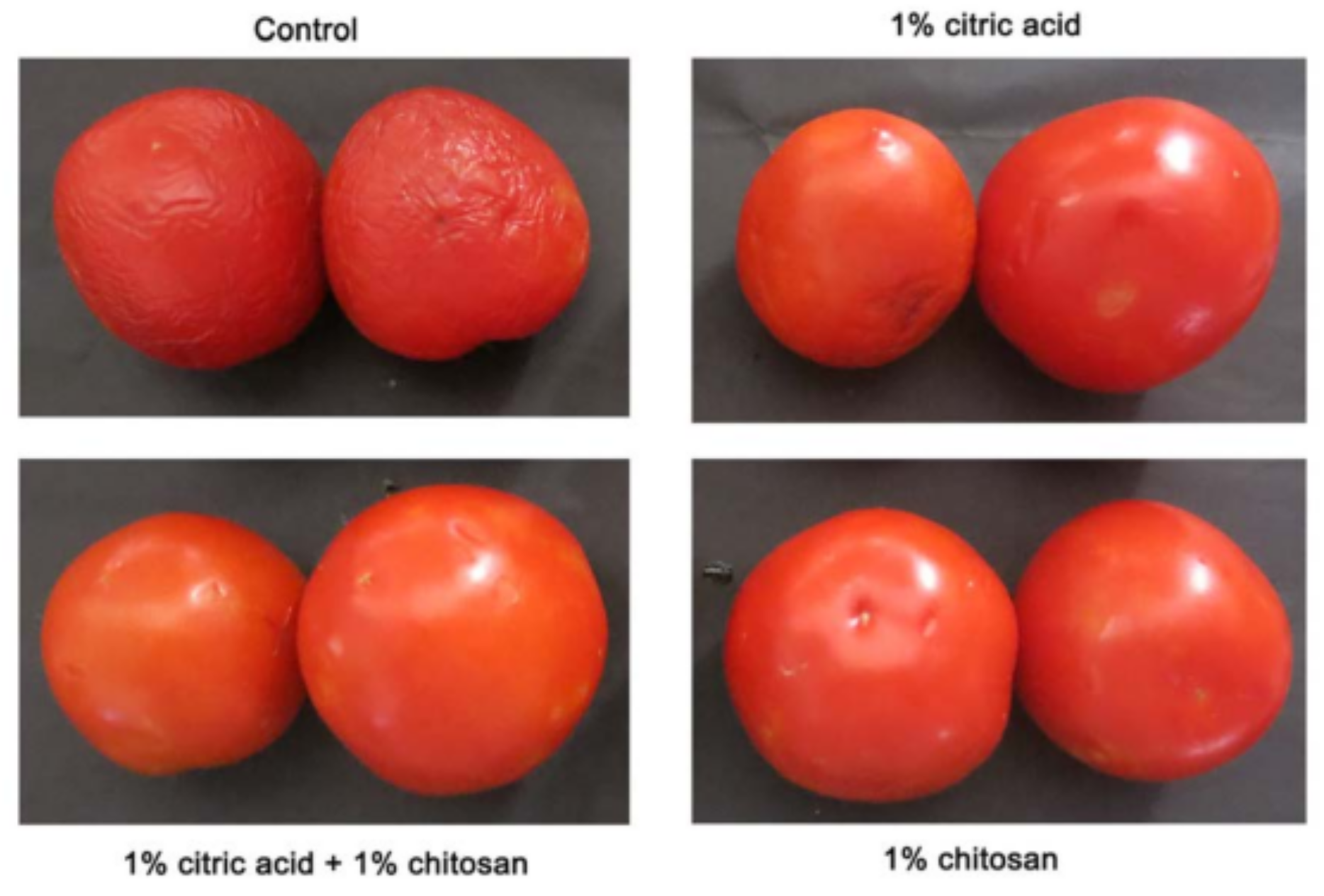 Polymers 14 02335 g010