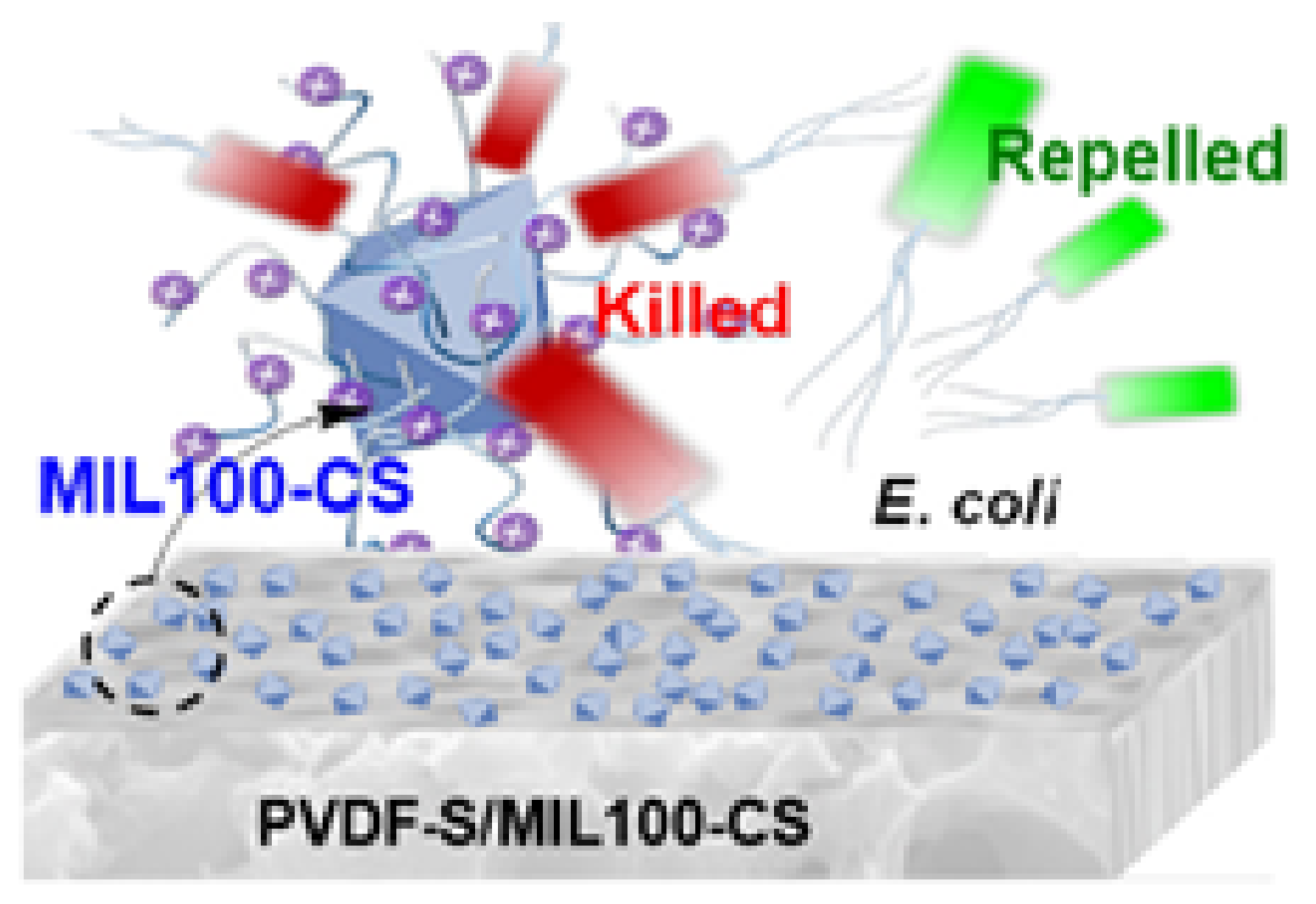 Polymers 14 02335 g011