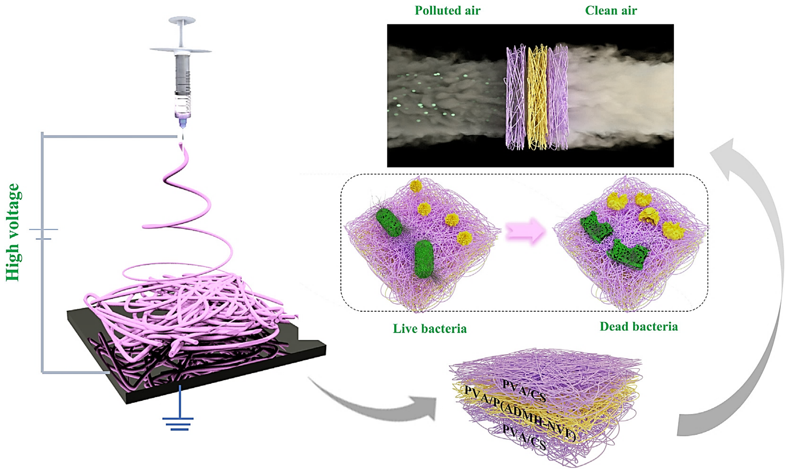 Polymers 14 02335 g012