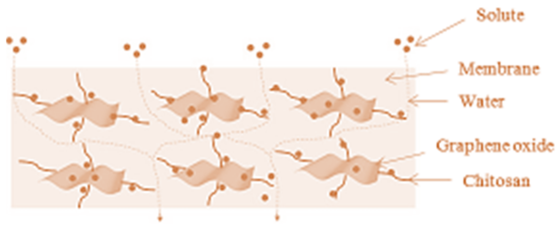 Polymers 14 02335 g016