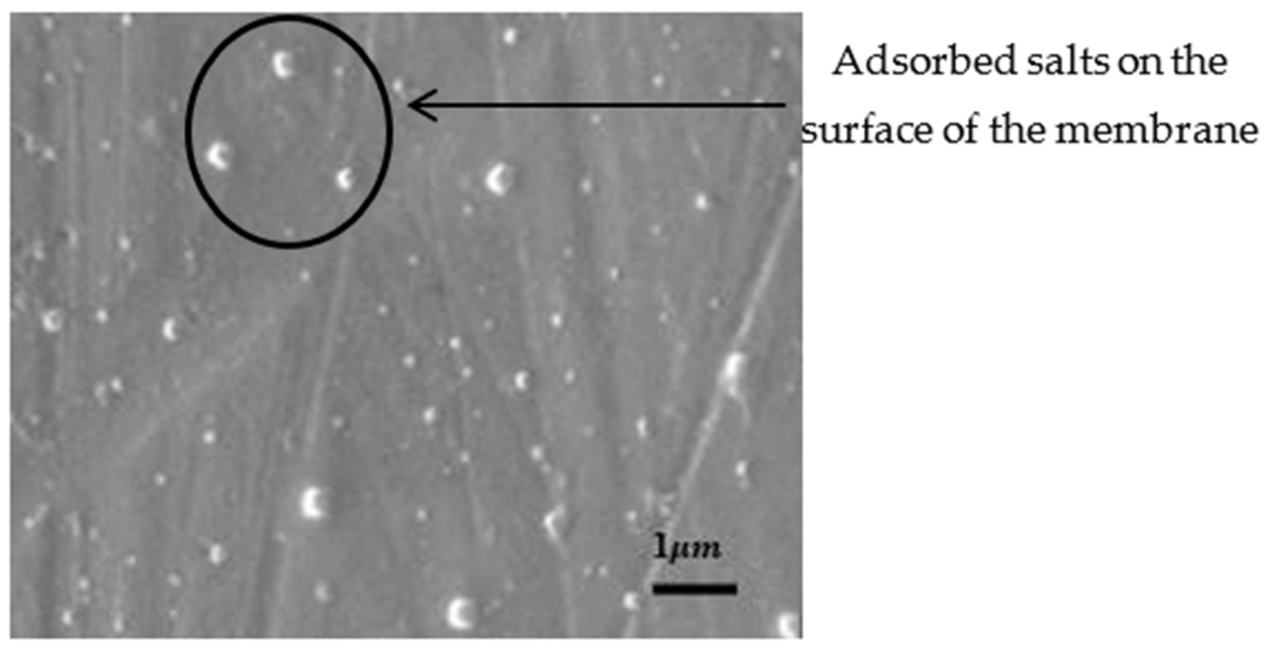 Polymers 14 02335 g017