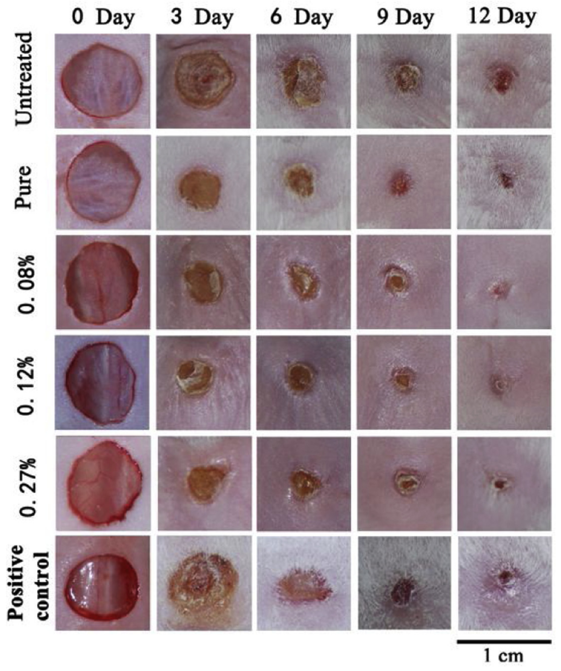 Polymers 14 02335 g021