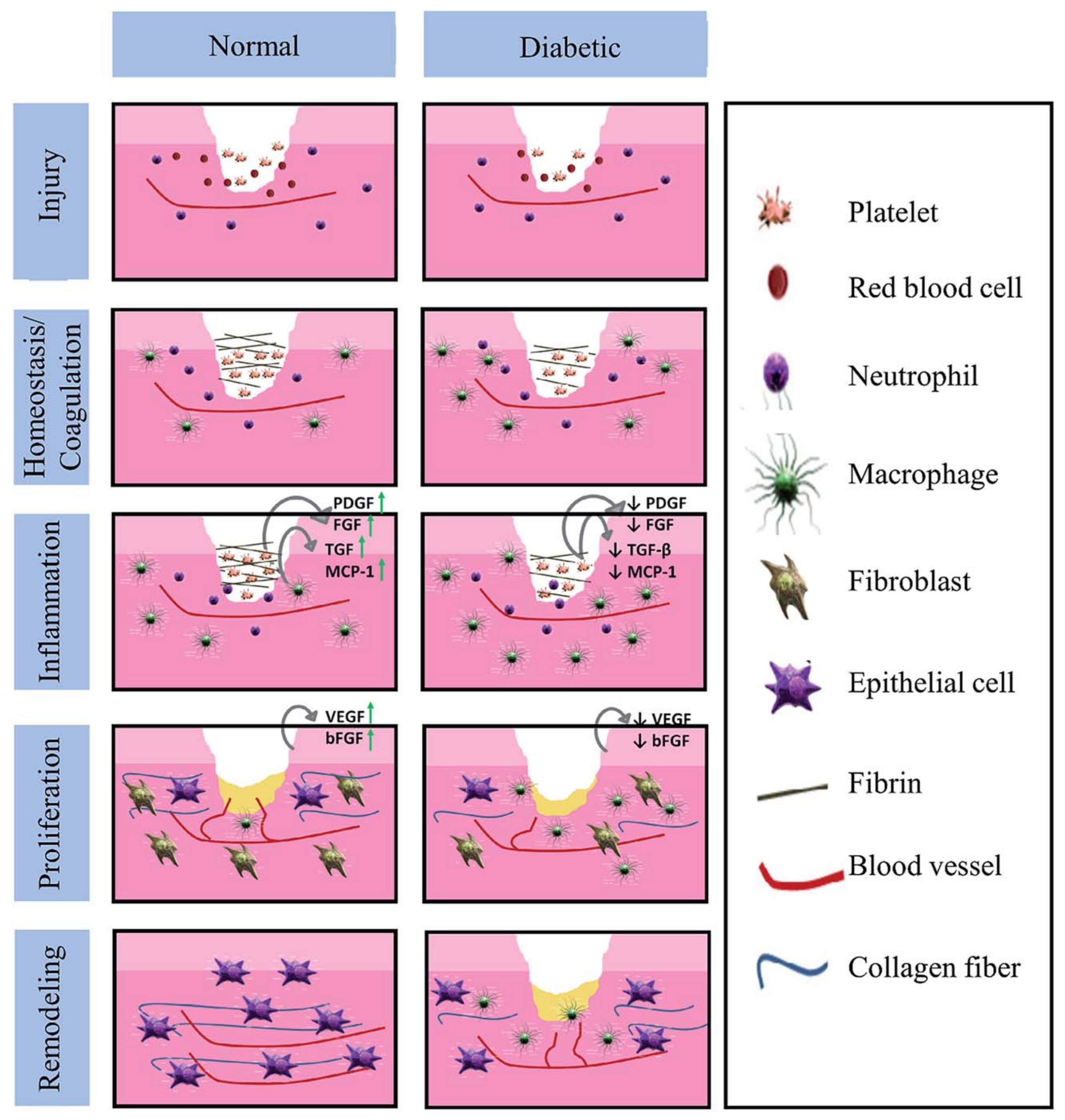 Polymers 14 02335 g022