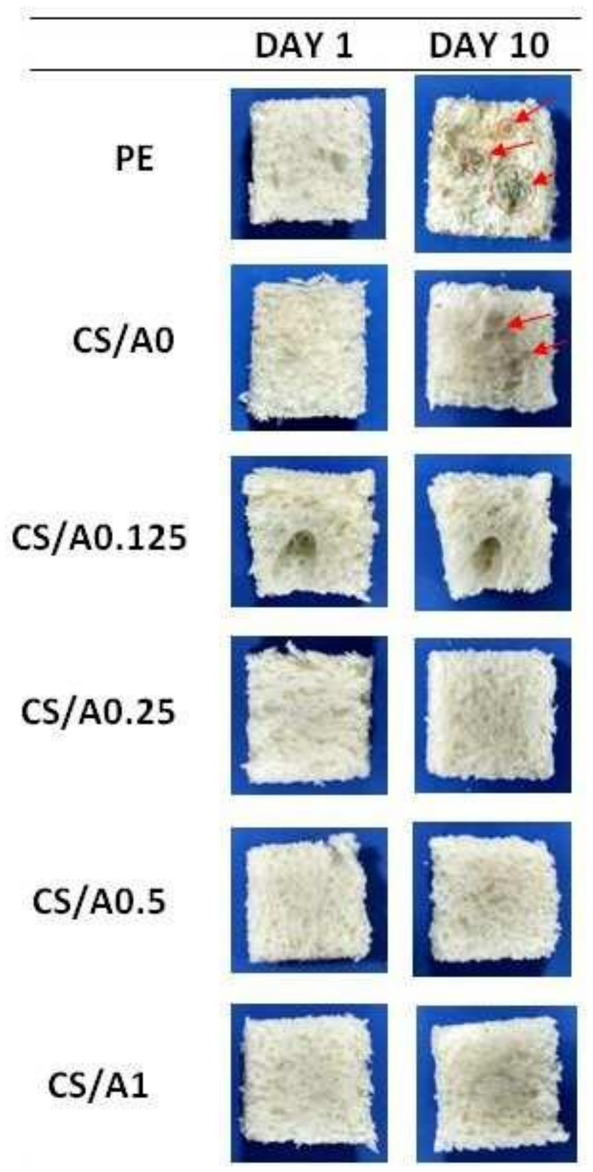 Polymers 14 02335 g023