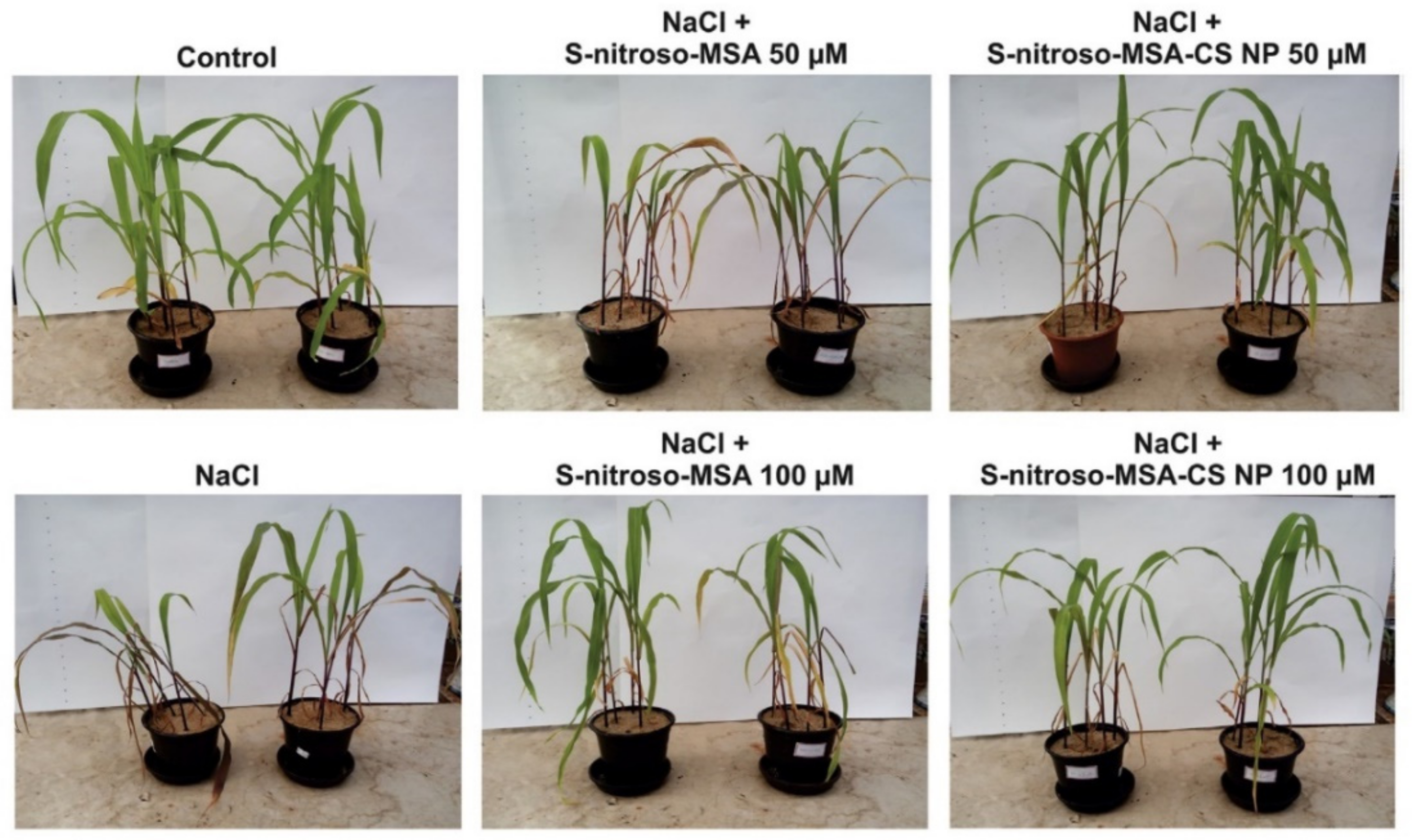 Polymers 14 02335 g026