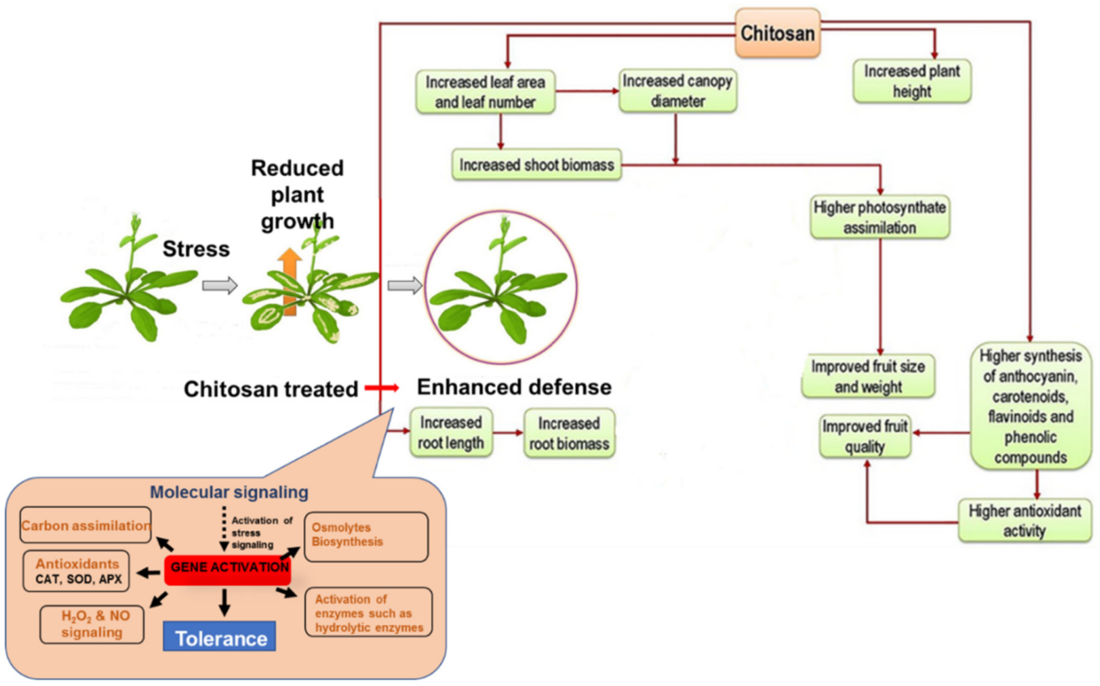 Polymers 14 02335 g027