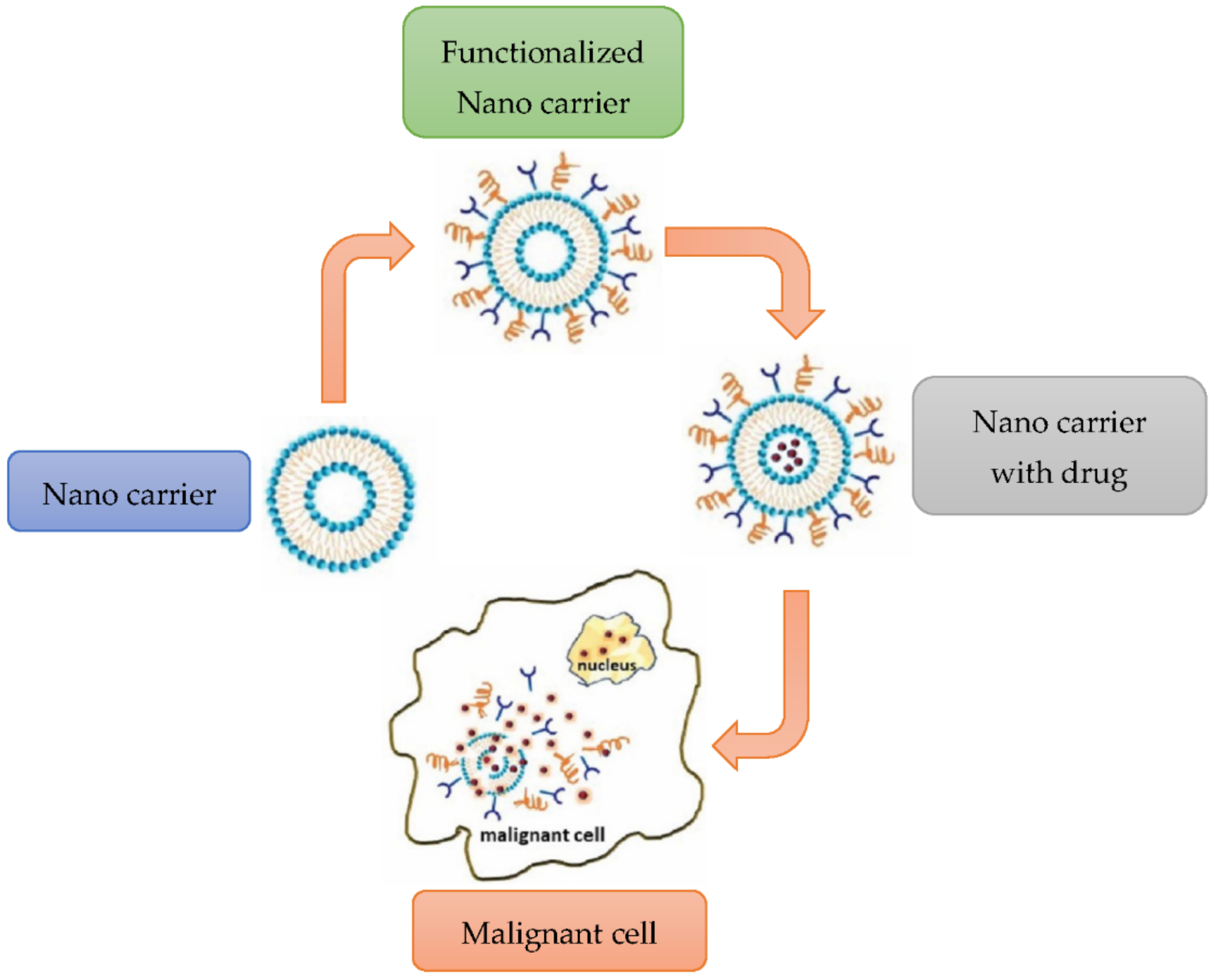 Polymers 14 02335 g028