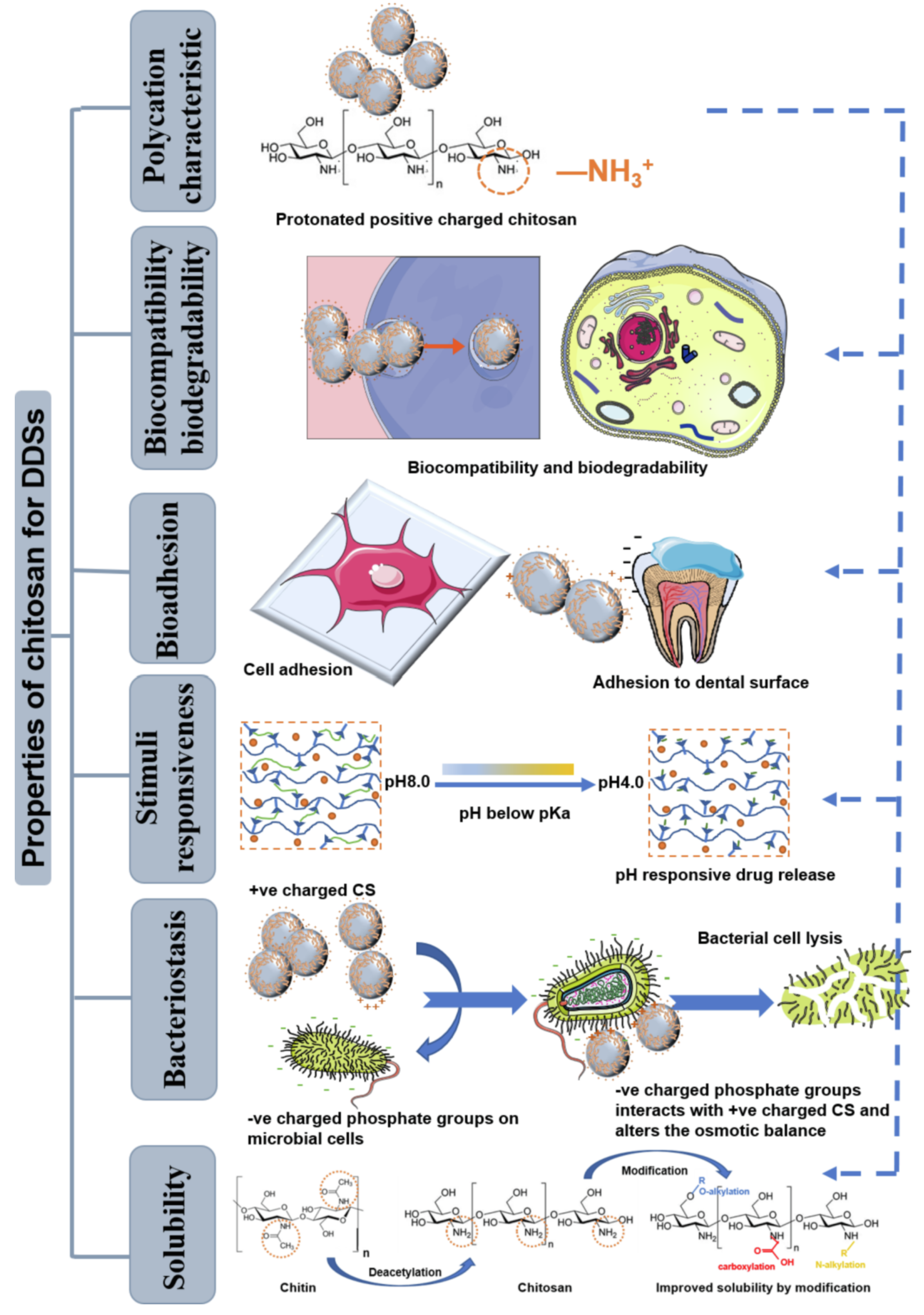 Polymers 14 02335 g029