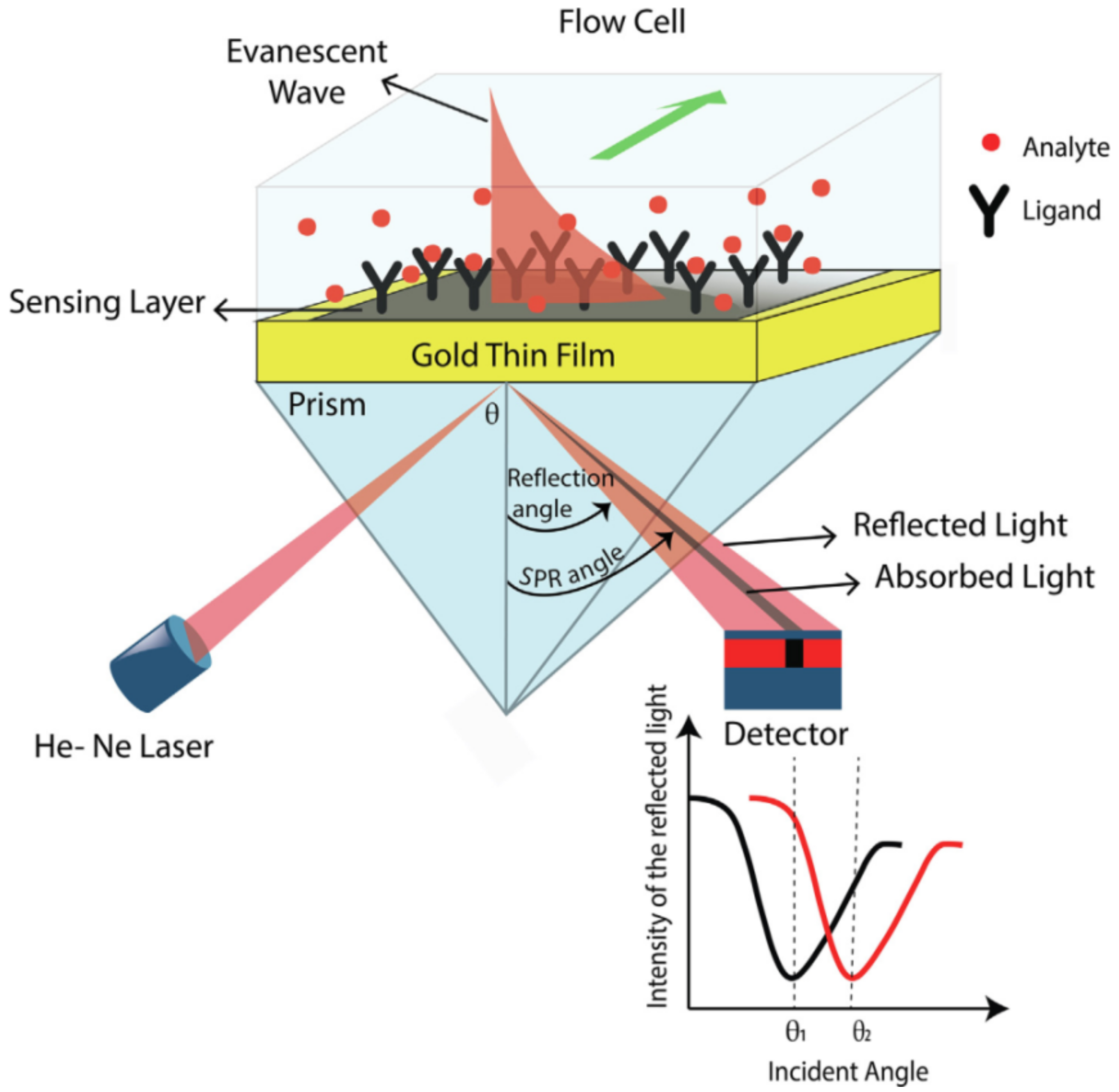 Polymers 14 02335 g032