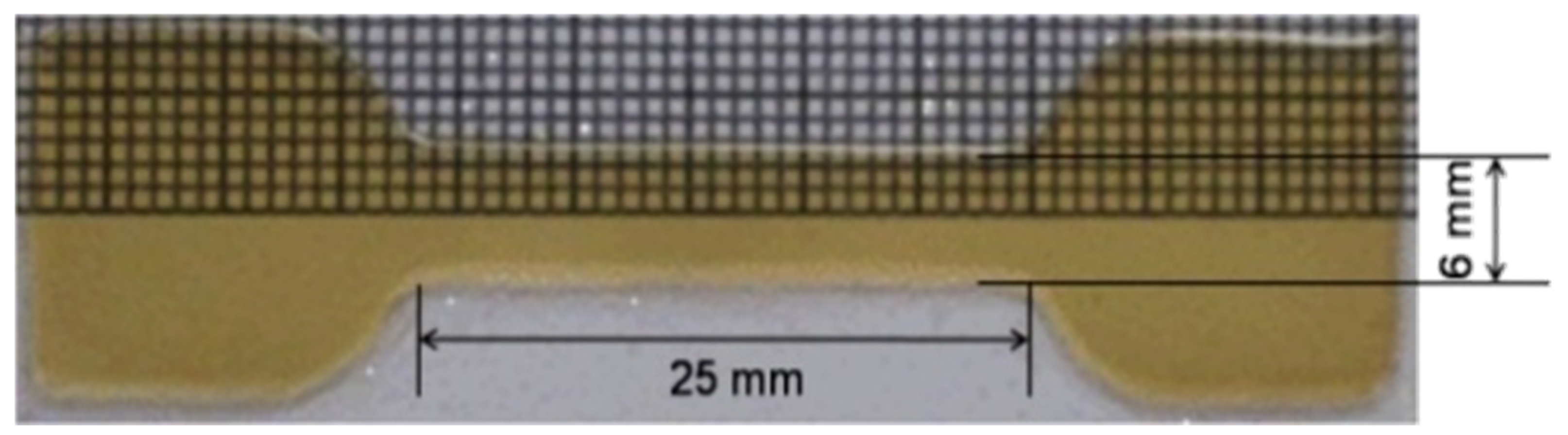 Polymers 14 02350 g001