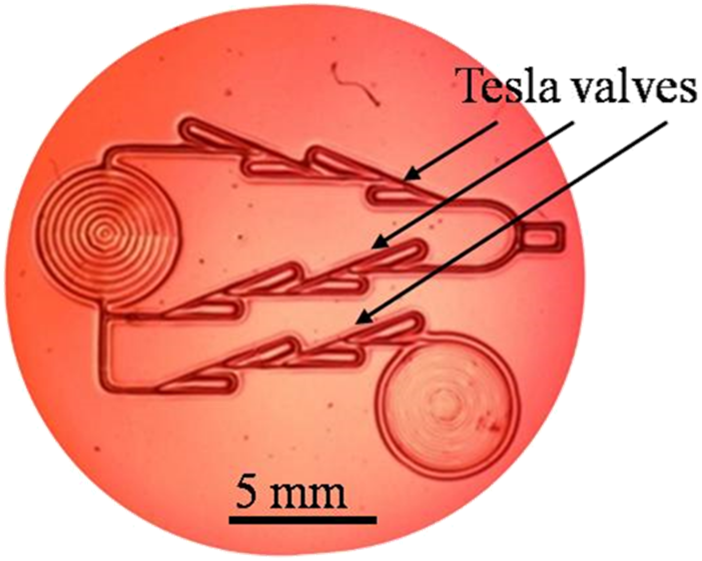 Polymers 14 02350 g009