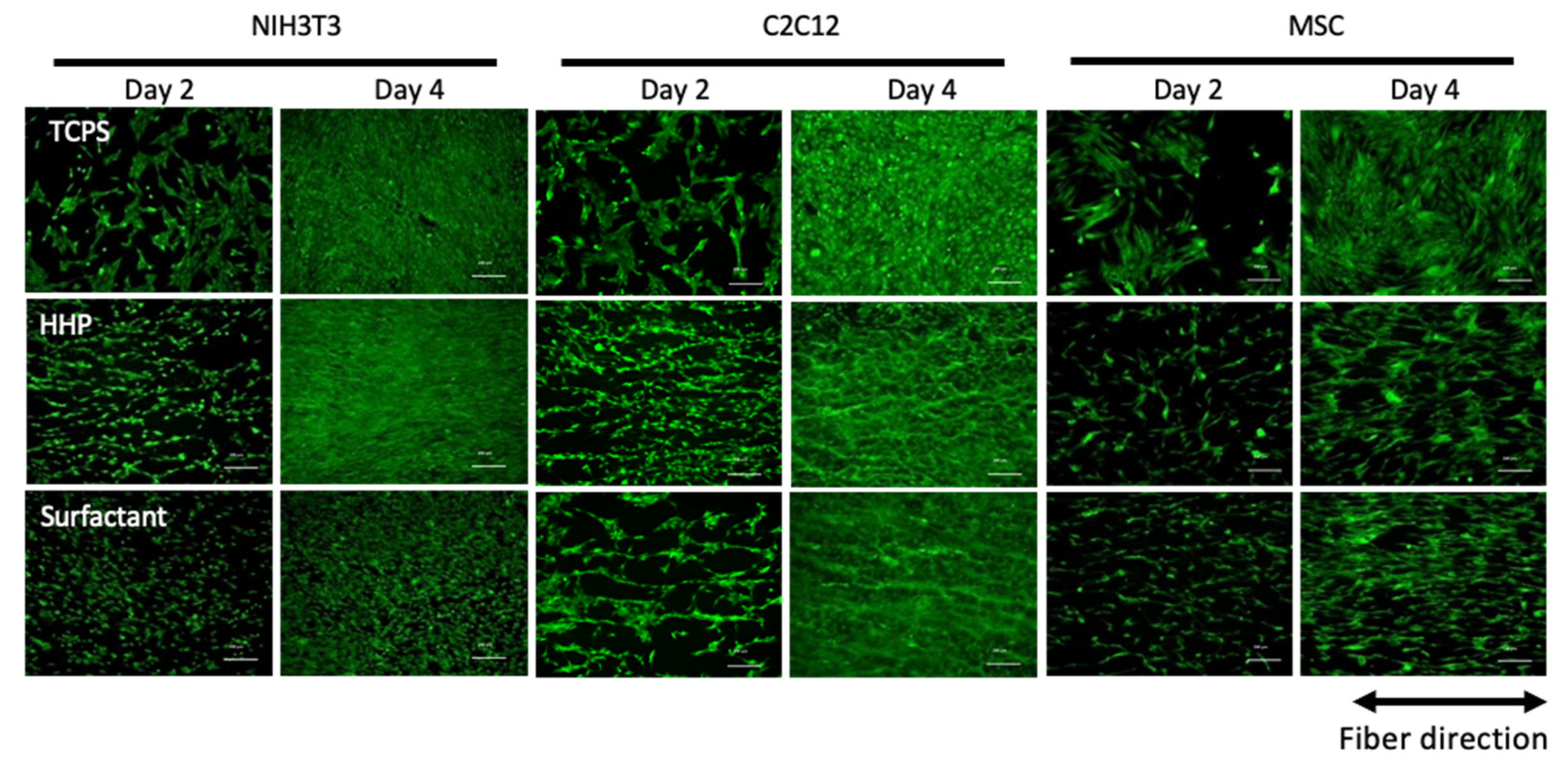 Polymers 14 02351 g006