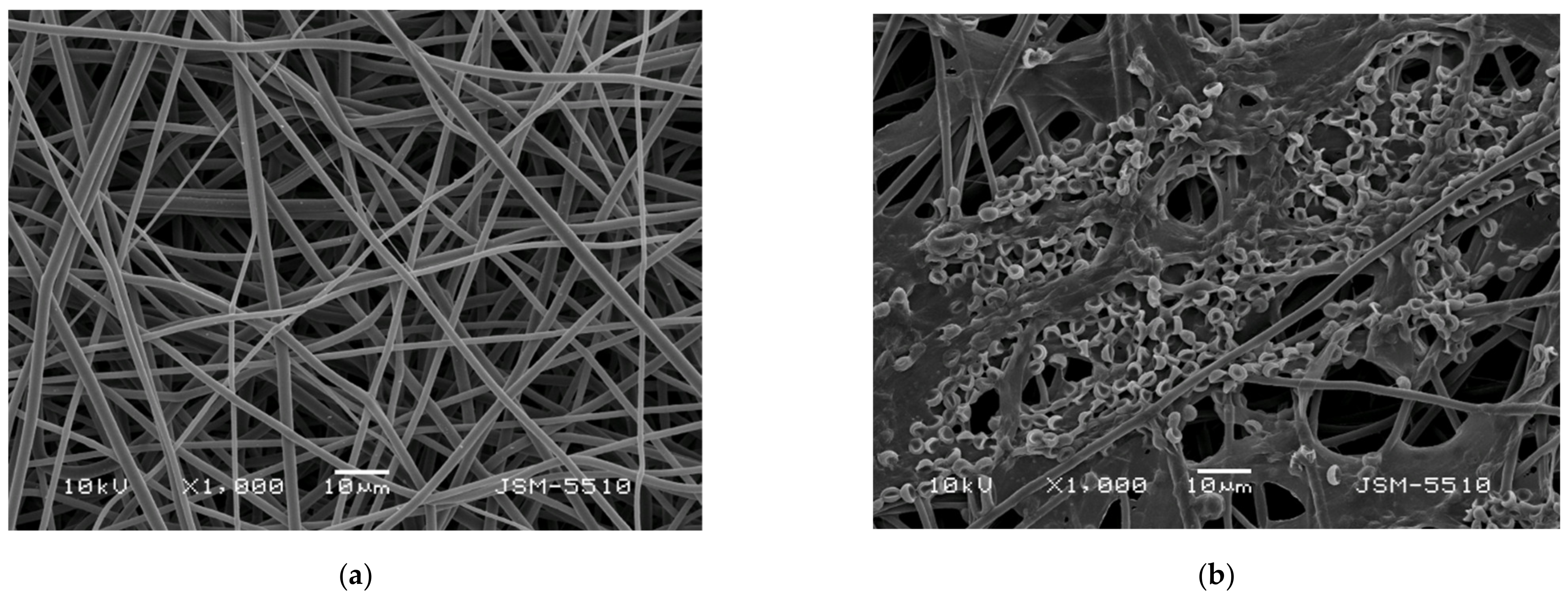 Polymers 14 02356 g001a