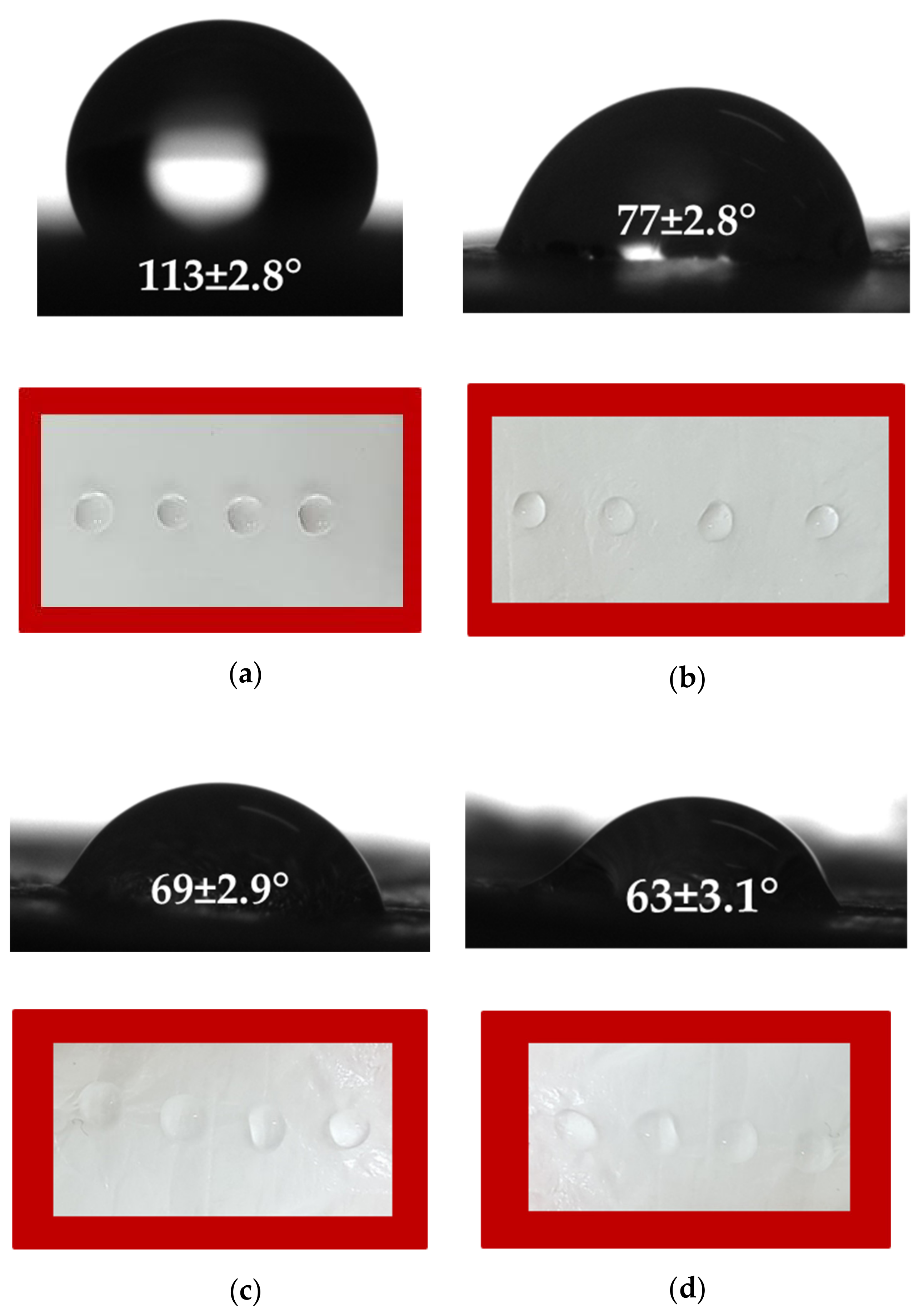 Polymers 14 02356 g002