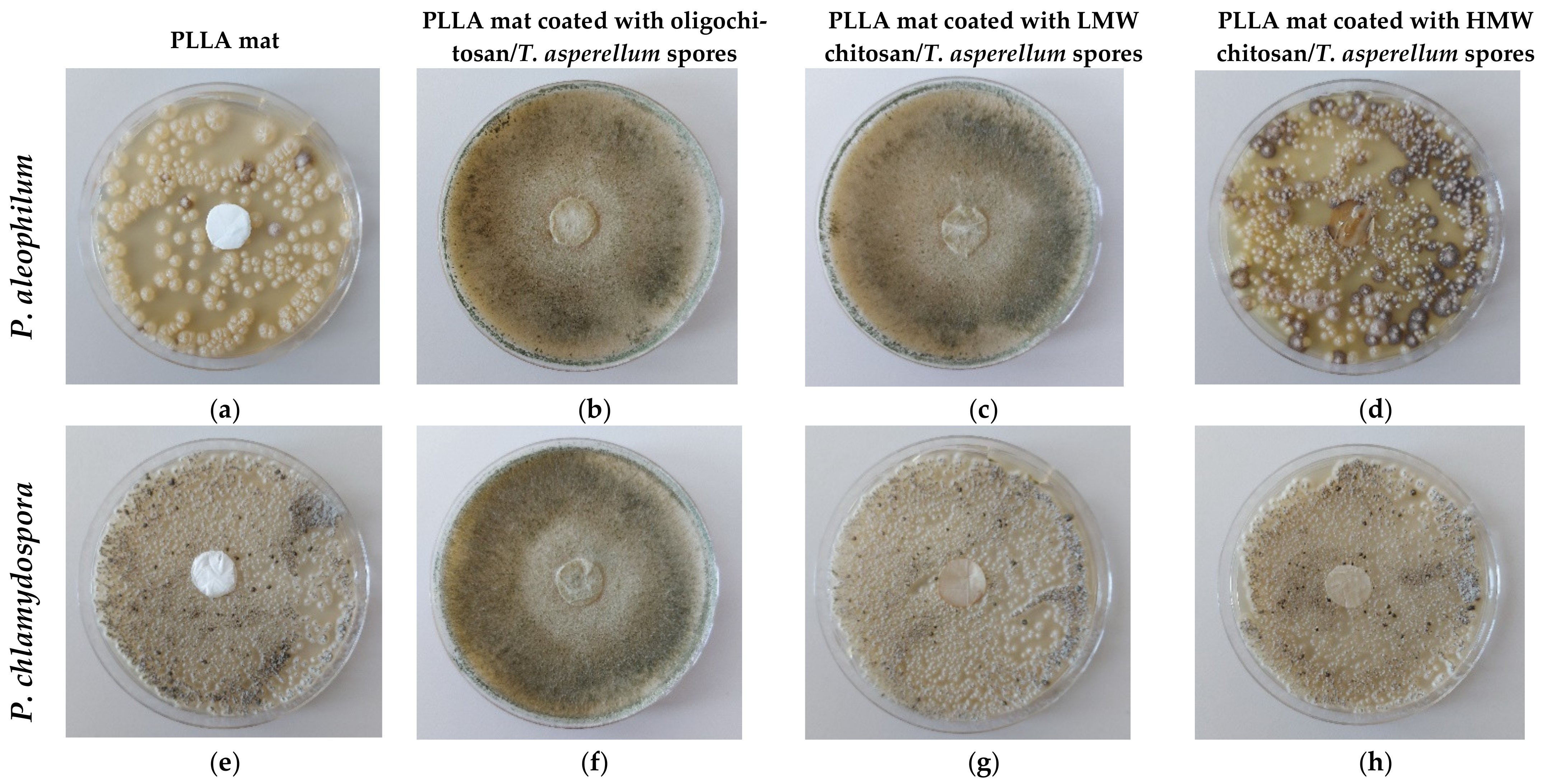 Polymers 14 02356 g006