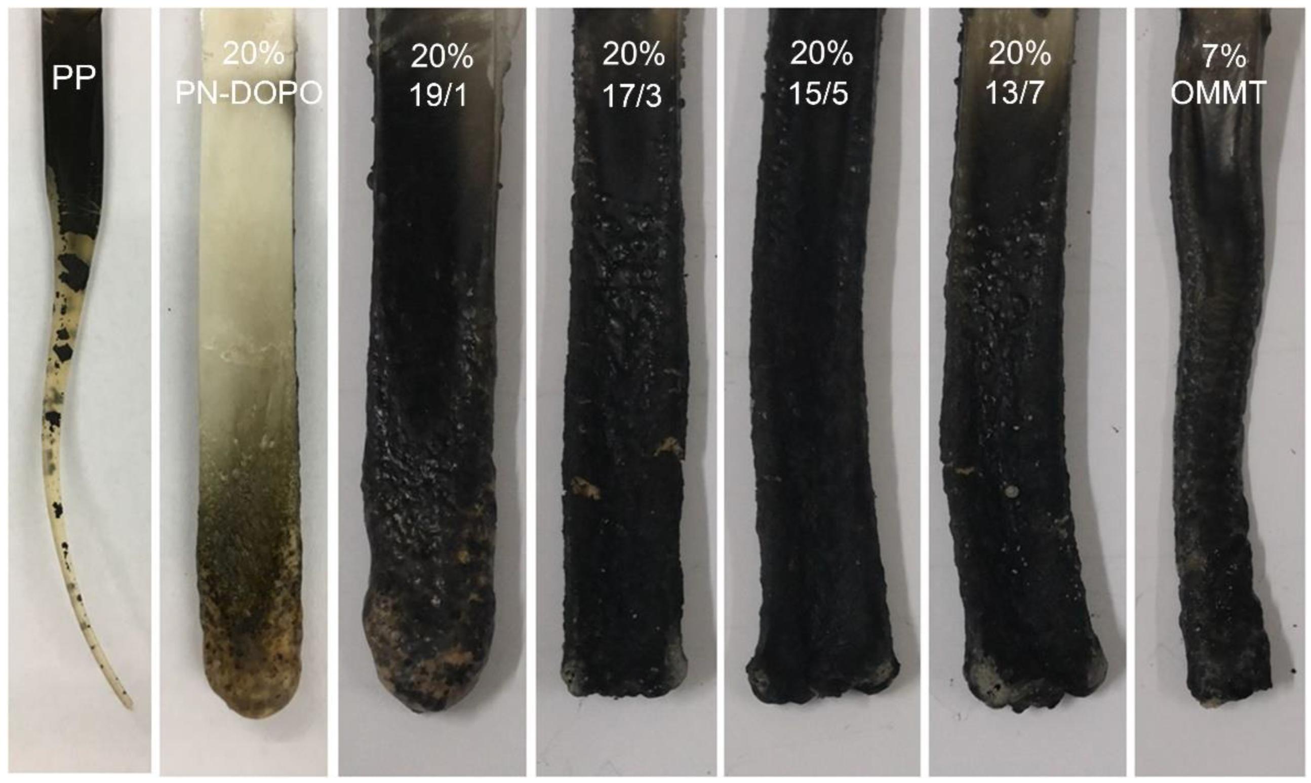 Polymers 14 02372 g001