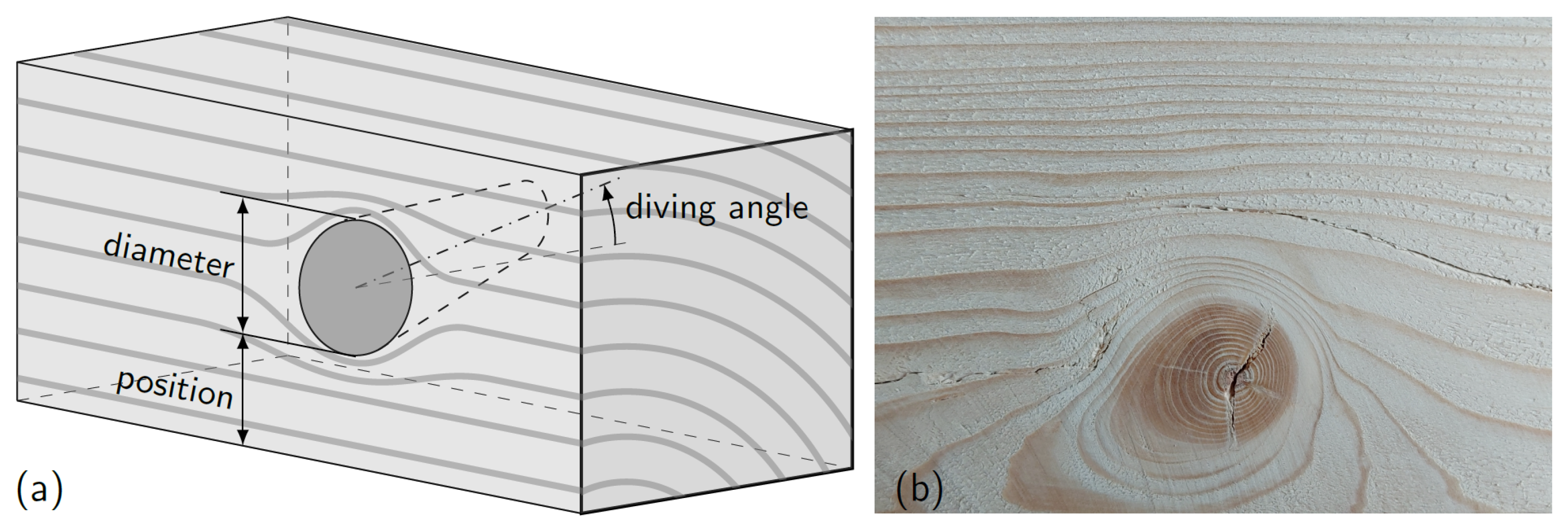 Polymers 14 02381 g005